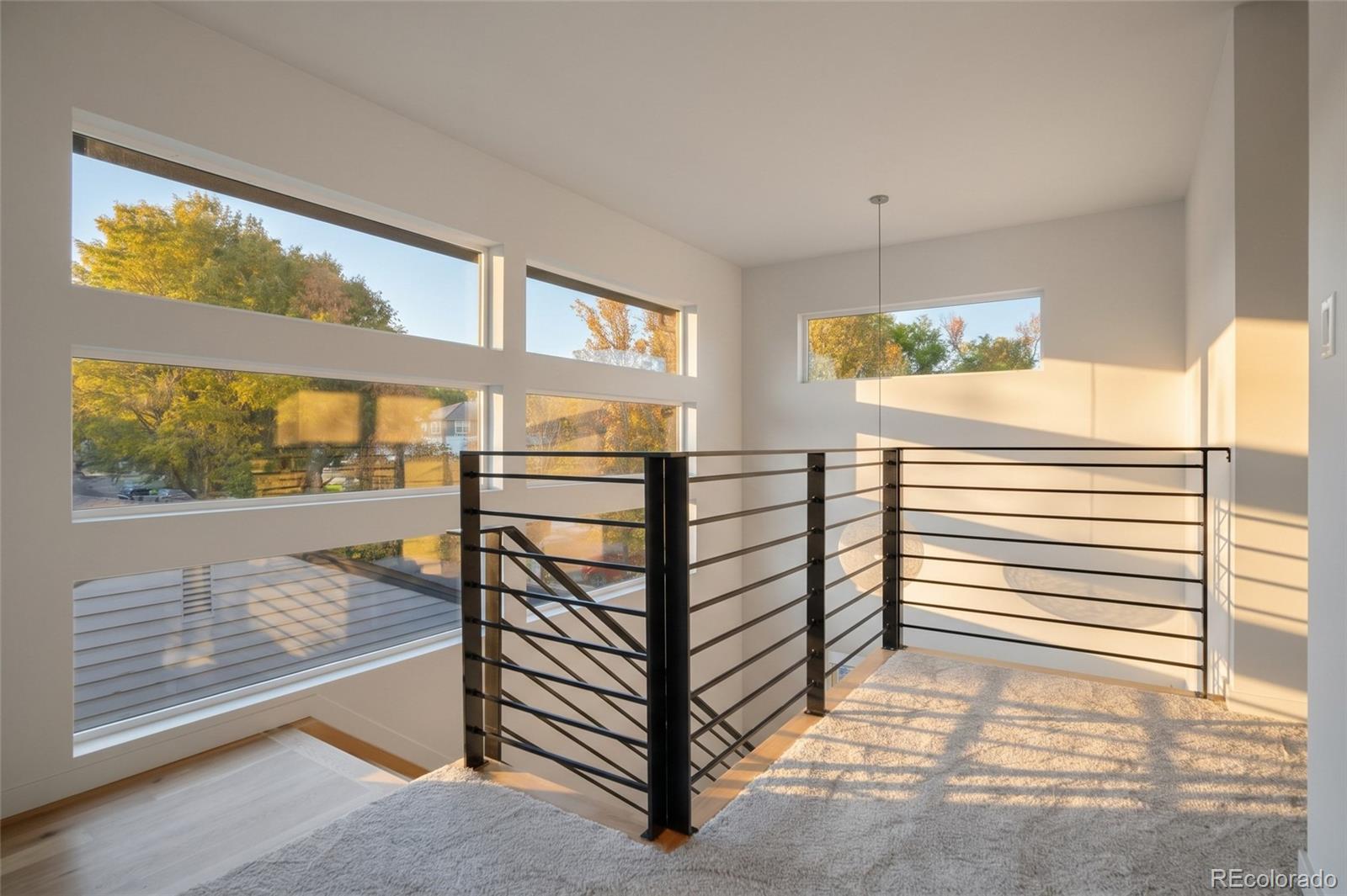 MLS Image #19 for 1141 s cook street,denver, Colorado