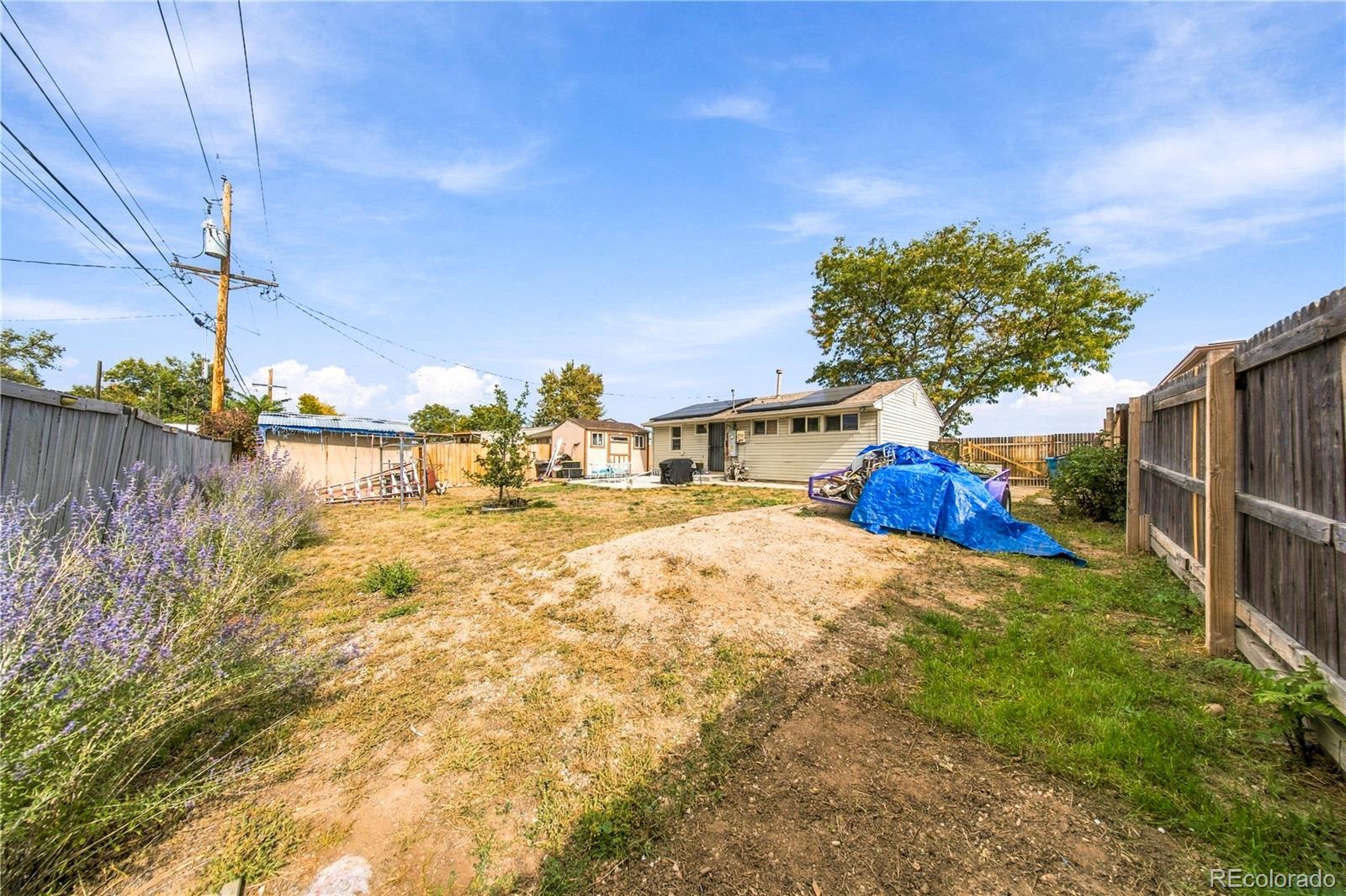 MLS Image #12 for 6471  quebec street,commerce city, Colorado