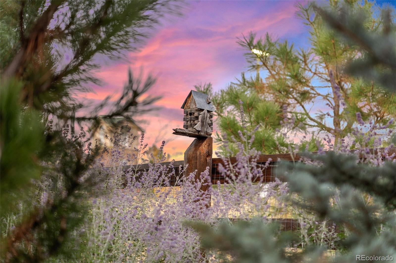 MLS Image #42 for 7024 s buchanan court,aurora, Colorado