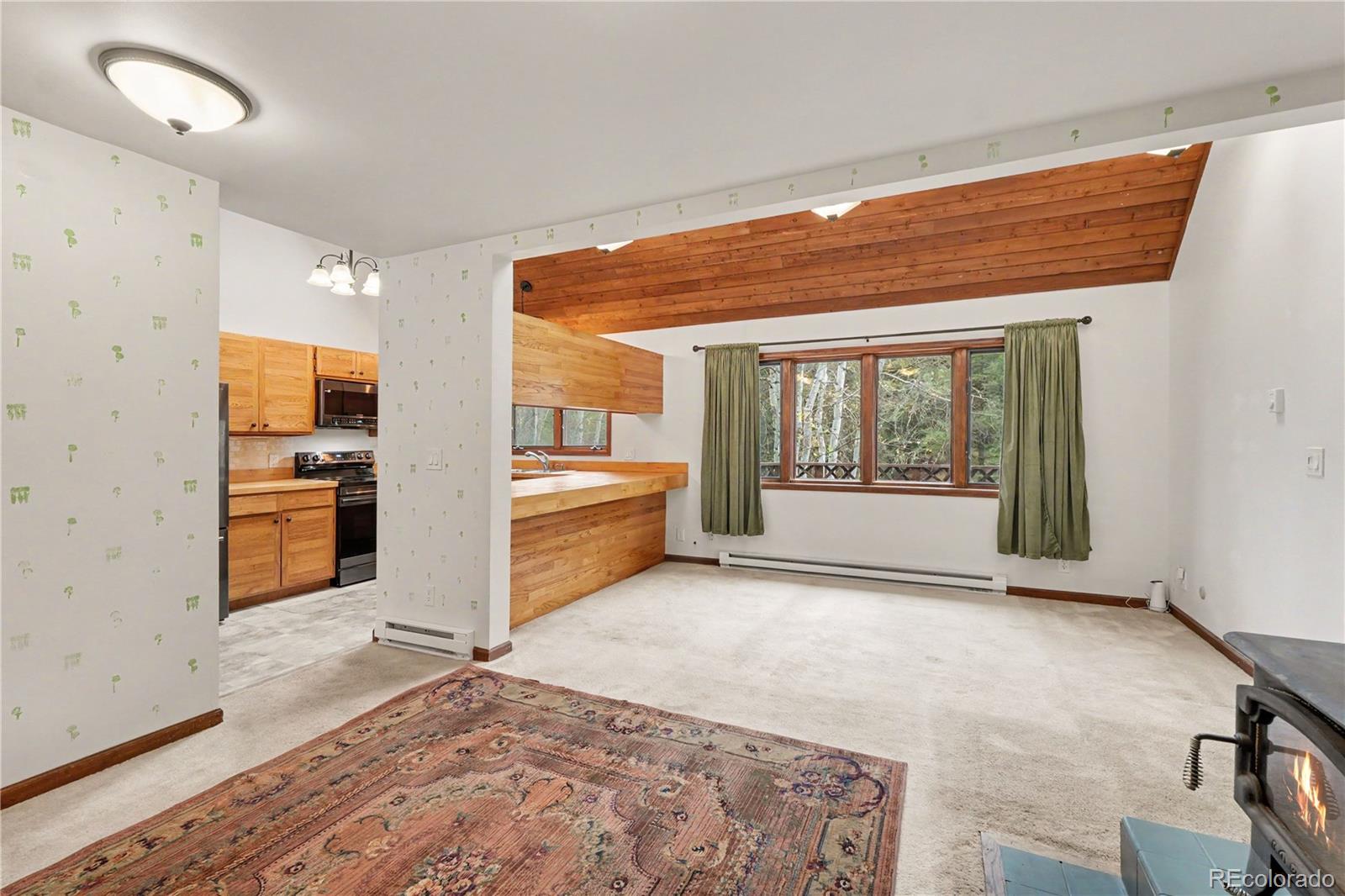 MLS Image #2 for 247  switzerland park road,boulder, Colorado
