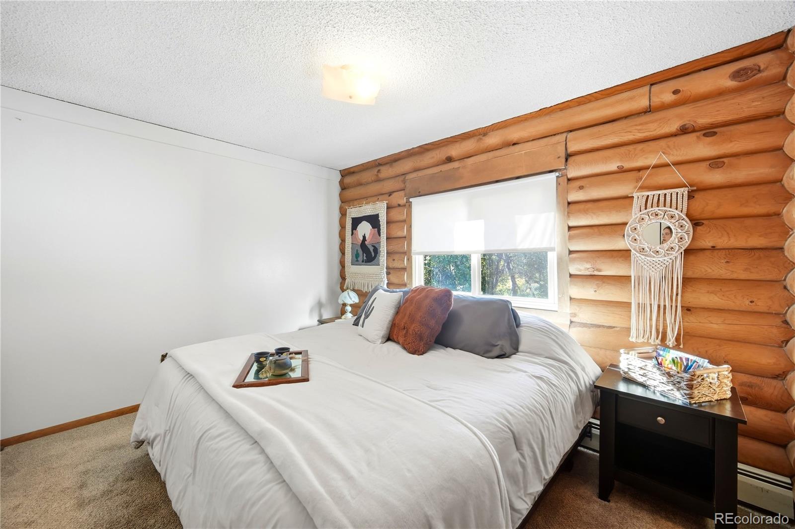 MLS Image #21 for 528  wall street,palmer lake, Colorado
