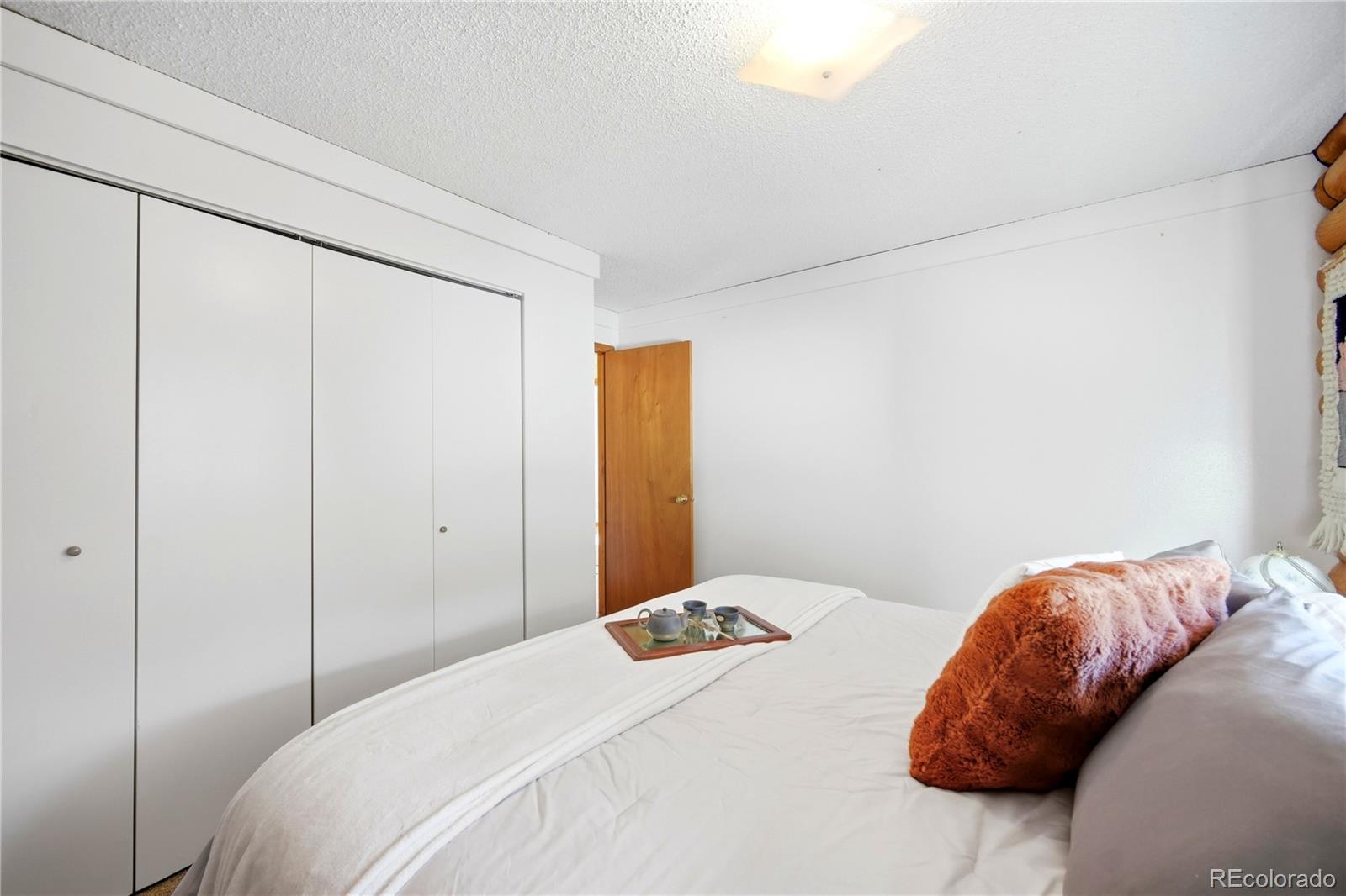 MLS Image #22 for 528  wall street,palmer lake, Colorado