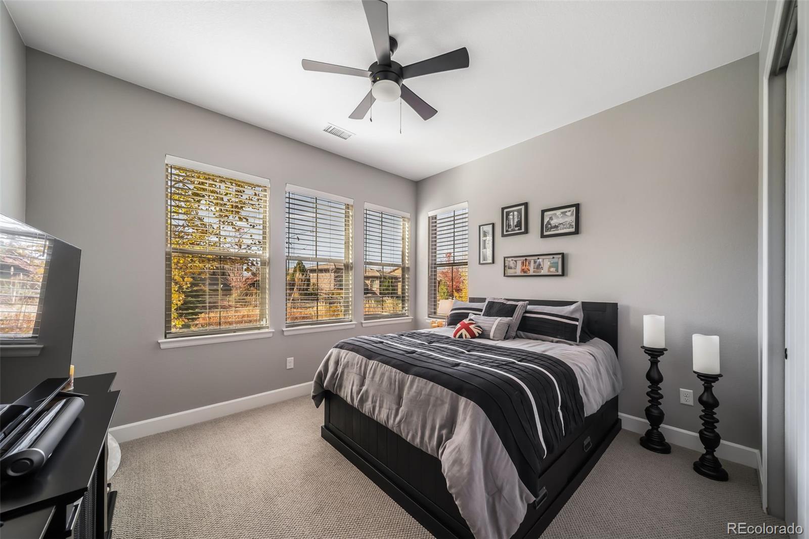 MLS Image #18 for 10545  fairhurst way,highlands ranch, Colorado