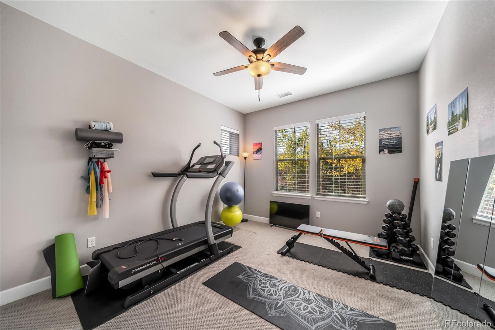 MLS Image #26 for 10545  fairhurst way,highlands ranch, Colorado