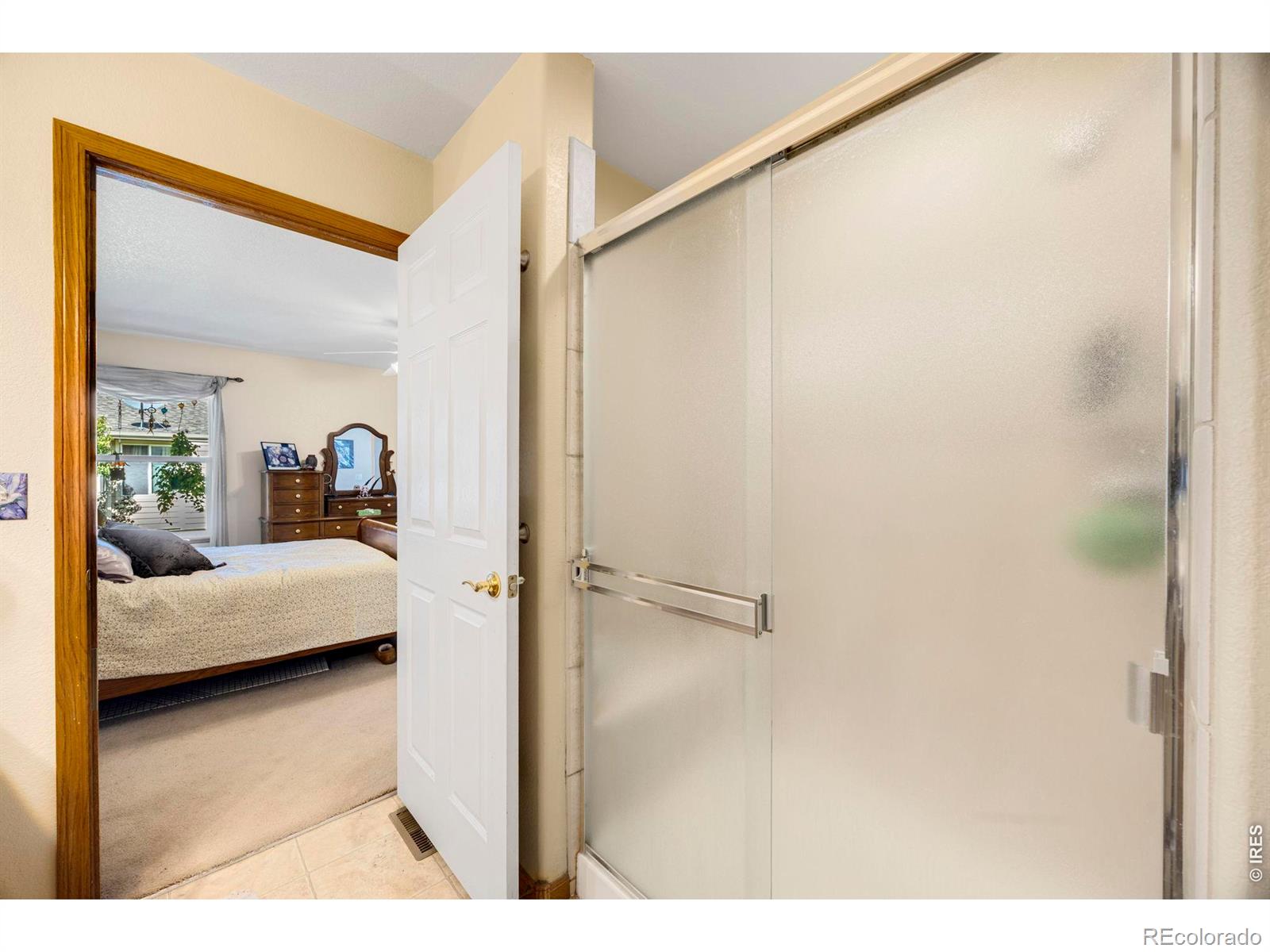MLS Image #20 for 2609  anemonie drive,loveland, Colorado