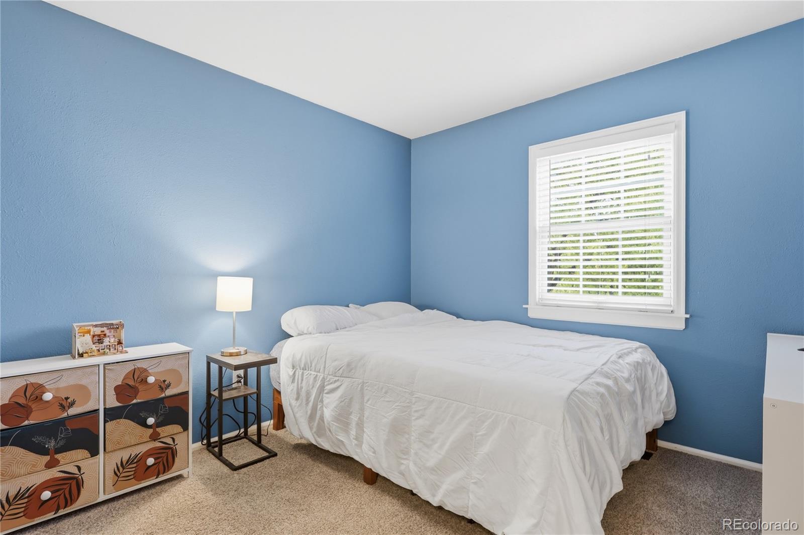MLS Image #28 for 6851 s forest street,centennial, Colorado