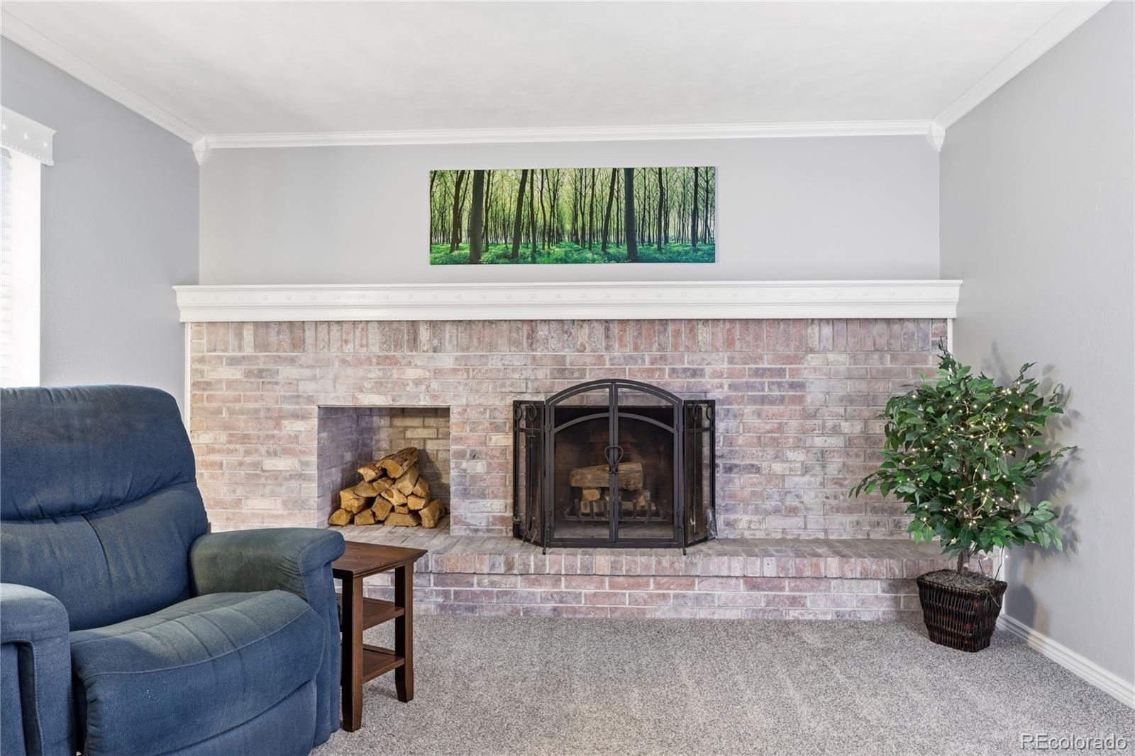 MLS Image #3 for 6851 s forest street,centennial, Colorado