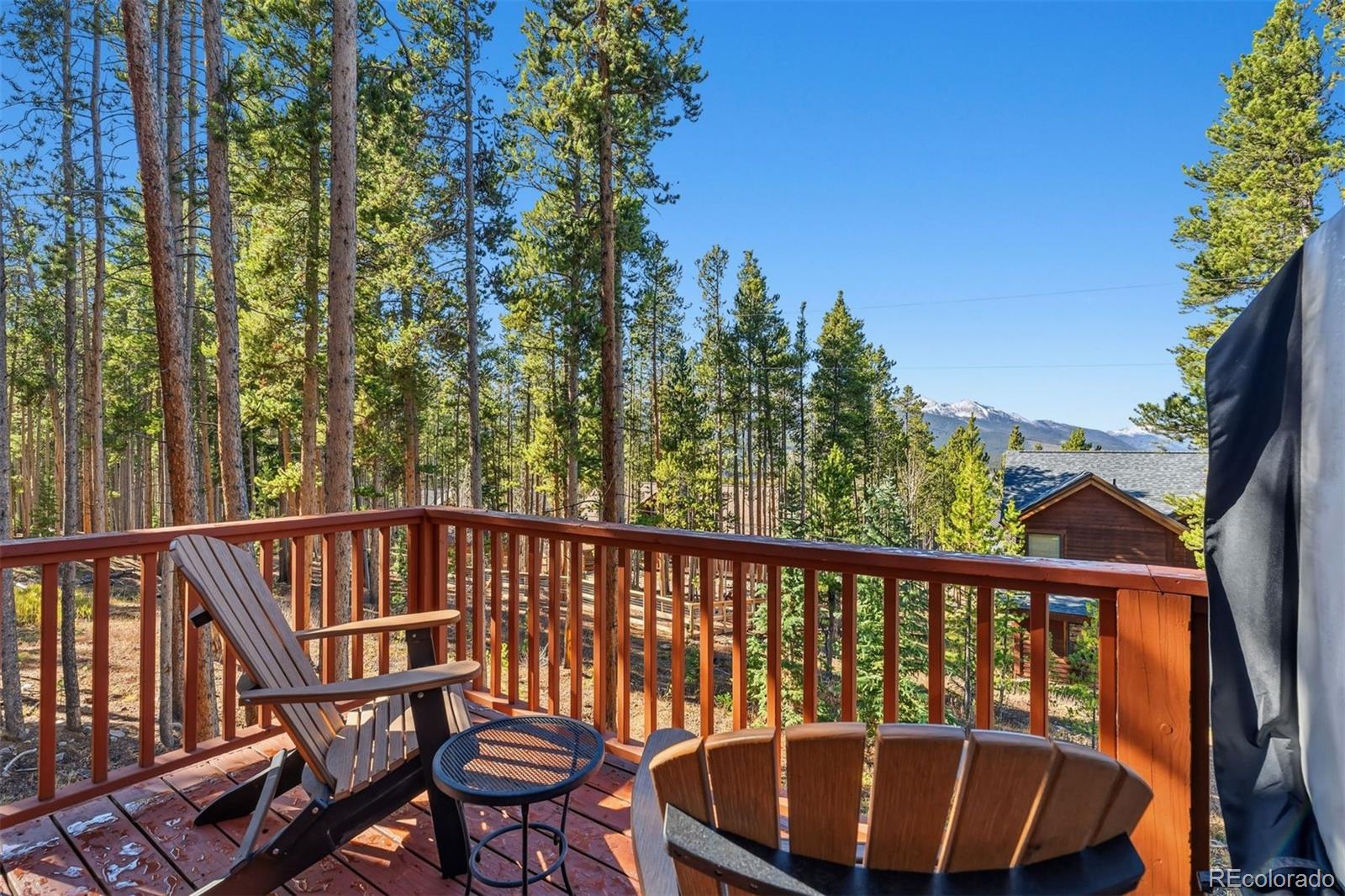 MLS Image #15 for 457  moonstone road,breckenridge, Colorado