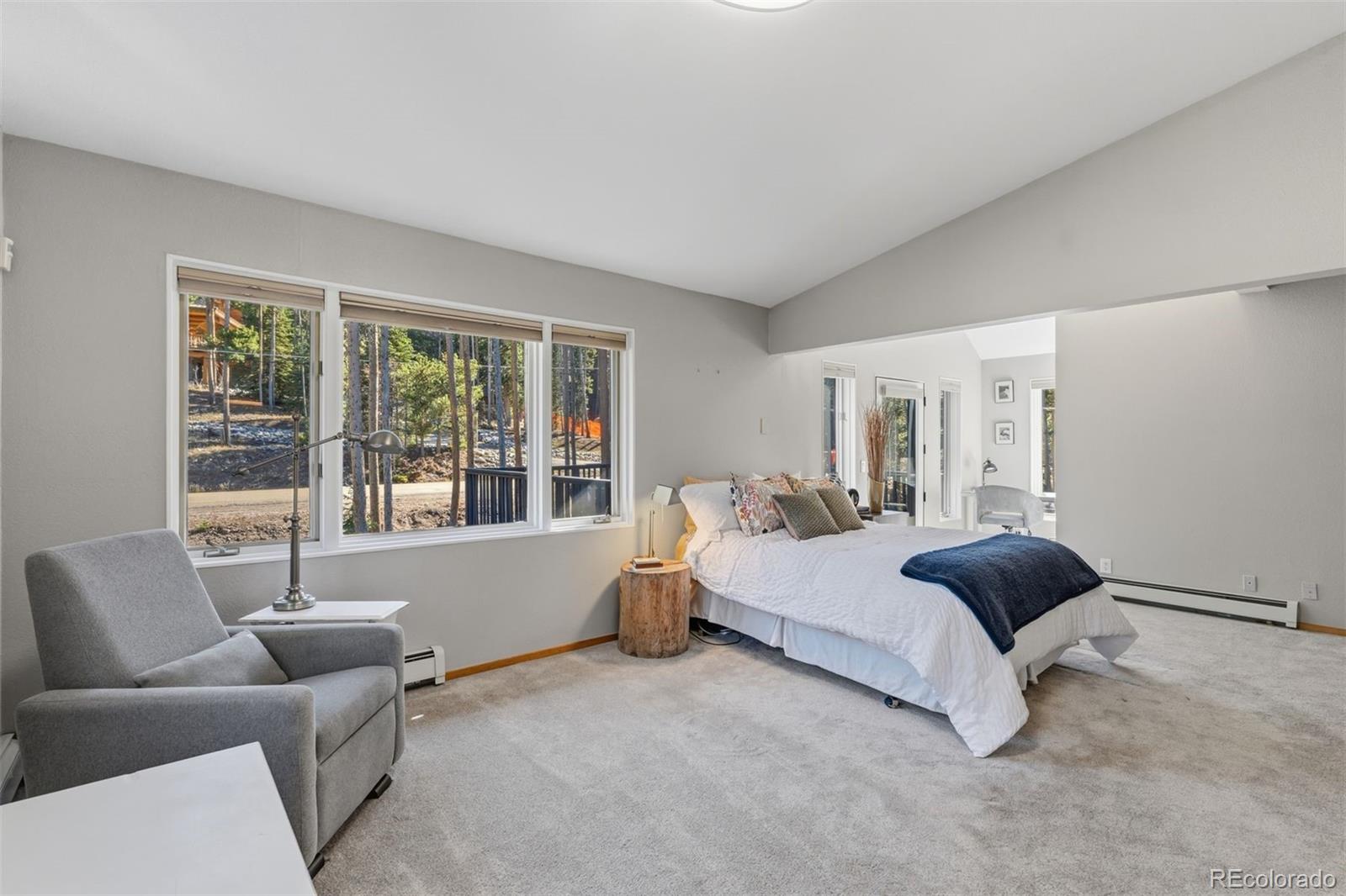 MLS Image #17 for 457  moonstone road,breckenridge, Colorado
