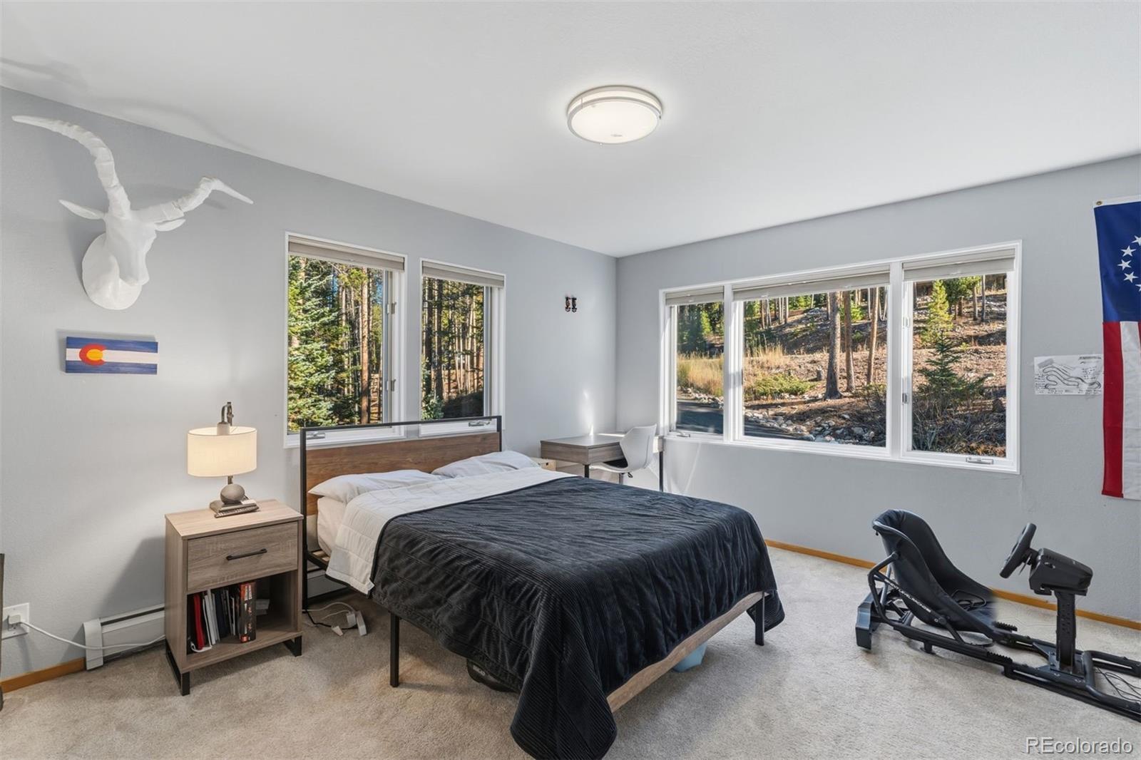 MLS Image #31 for 457  moonstone road,breckenridge, Colorado