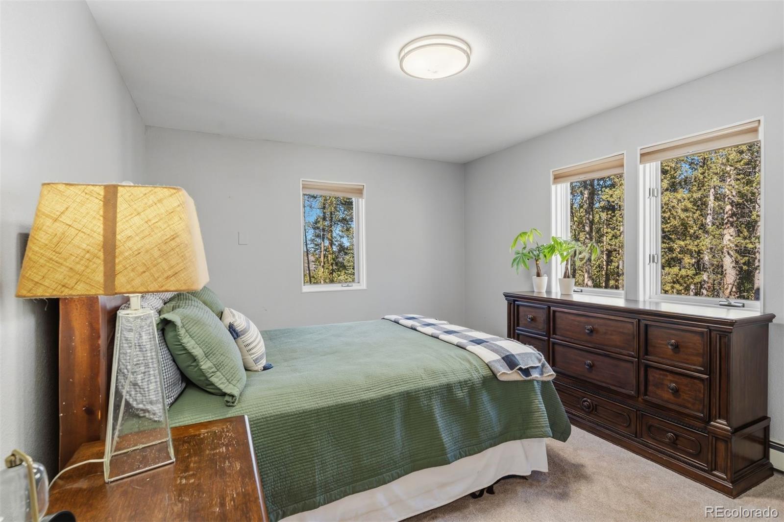 MLS Image #32 for 457  moonstone road,breckenridge, Colorado
