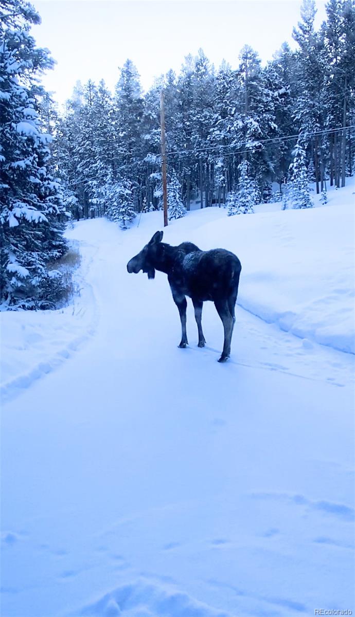 MLS Image #44 for 457  moonstone road,breckenridge, Colorado