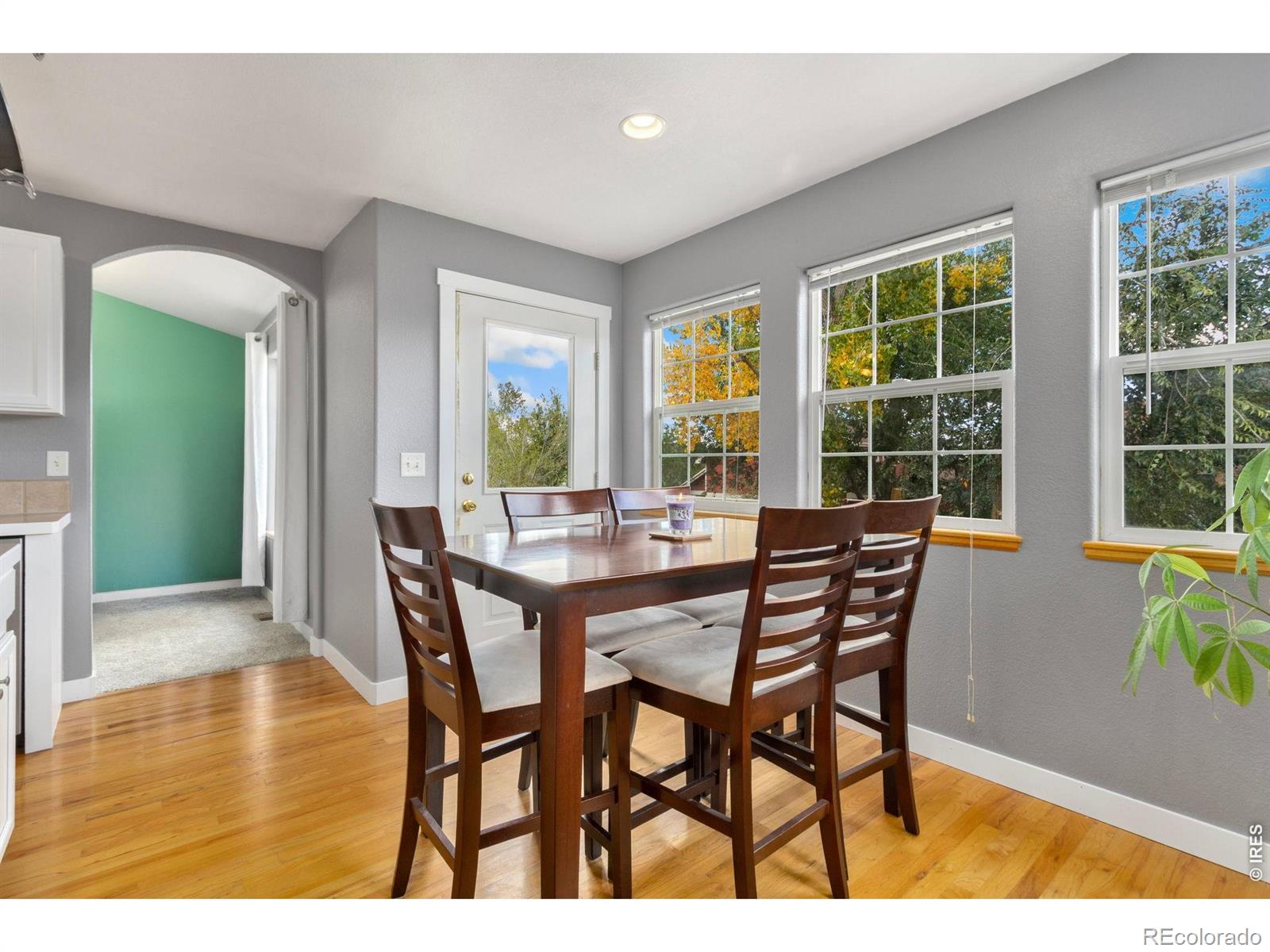 MLS Image #11 for 2820  canby way,fort collins, Colorado
