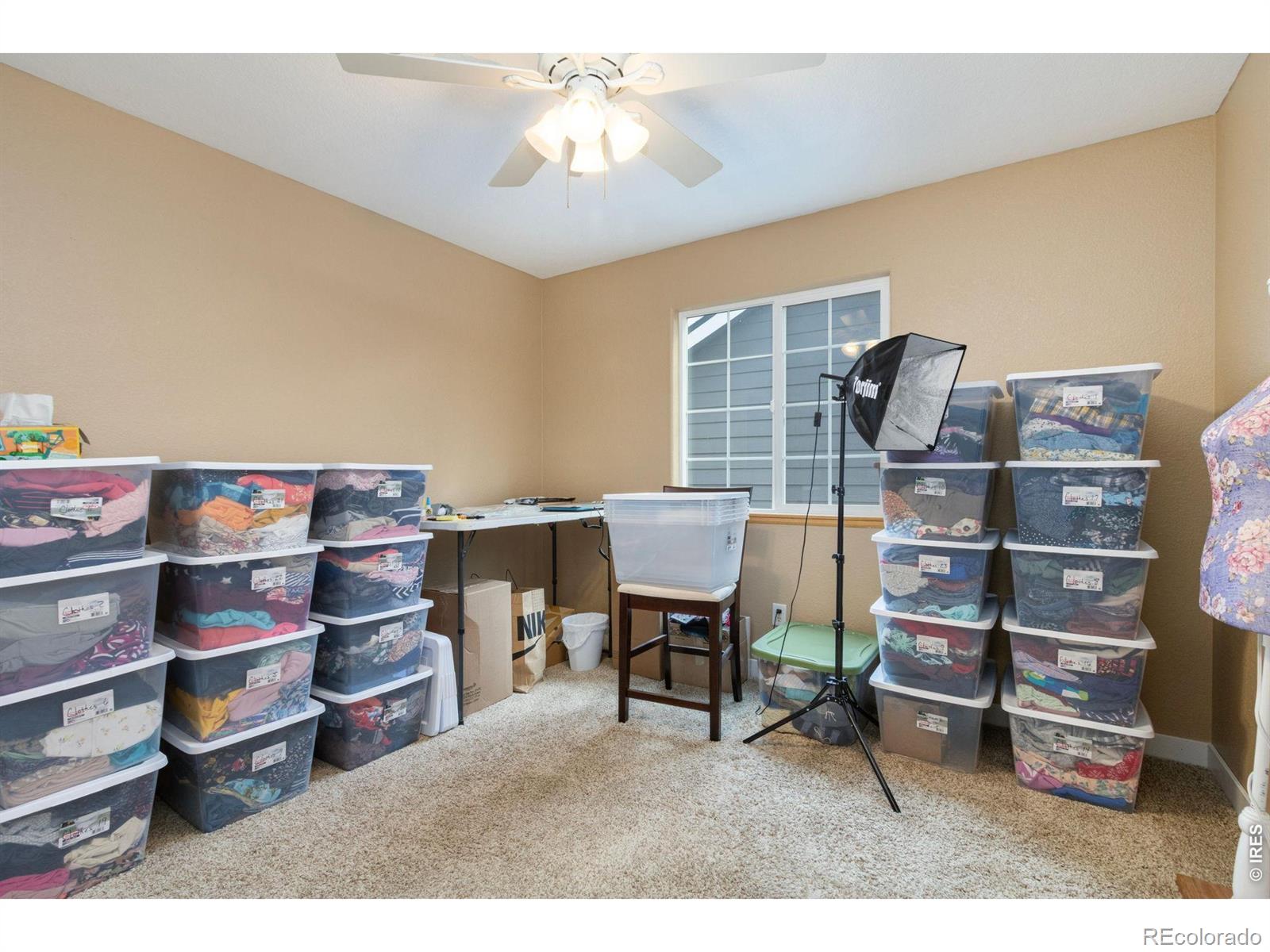 MLS Image #17 for 2820  canby way,fort collins, Colorado