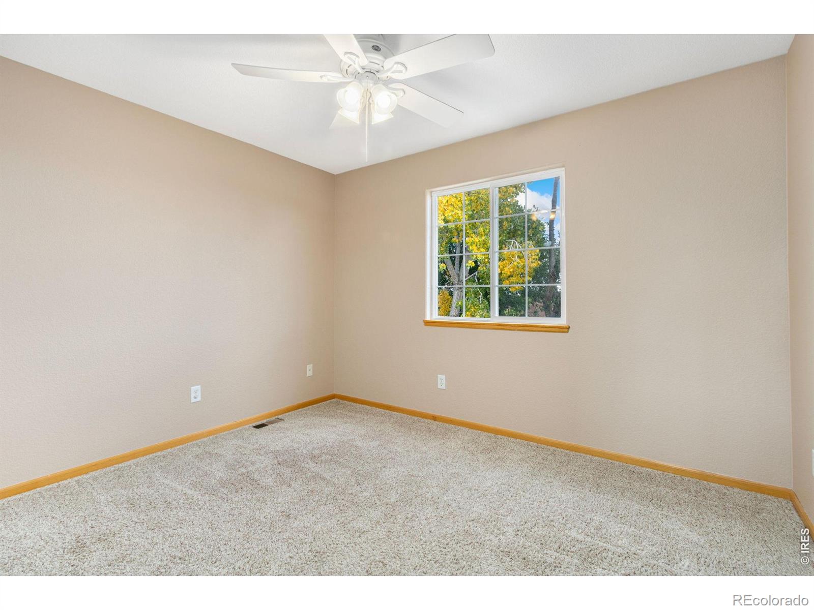 MLS Image #22 for 2820  canby way,fort collins, Colorado