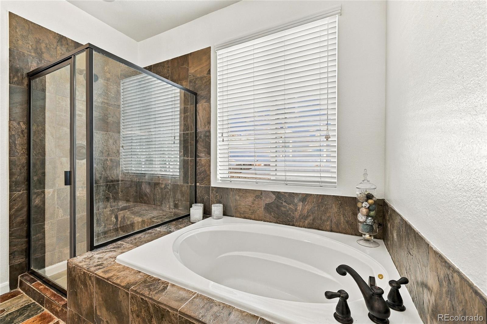 MLS Image #13 for 784  ellsworth court,castle rock, Colorado