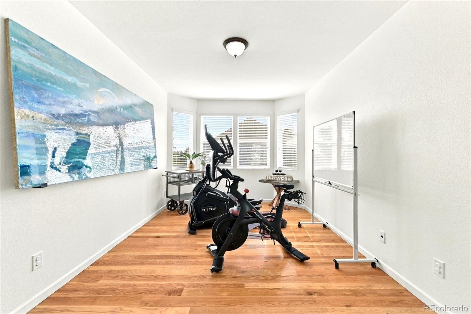 MLS Image #14 for 784  ellsworth court,castle rock, Colorado