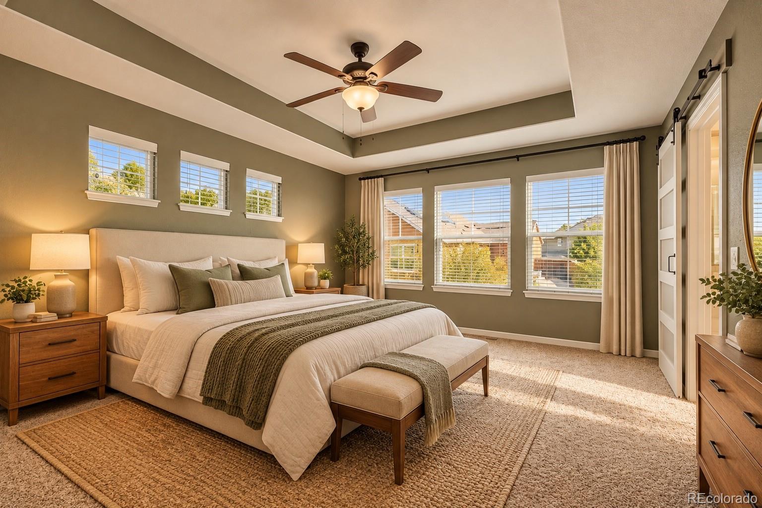 MLS Image #16 for 11834  phoebe street,parker, Colorado