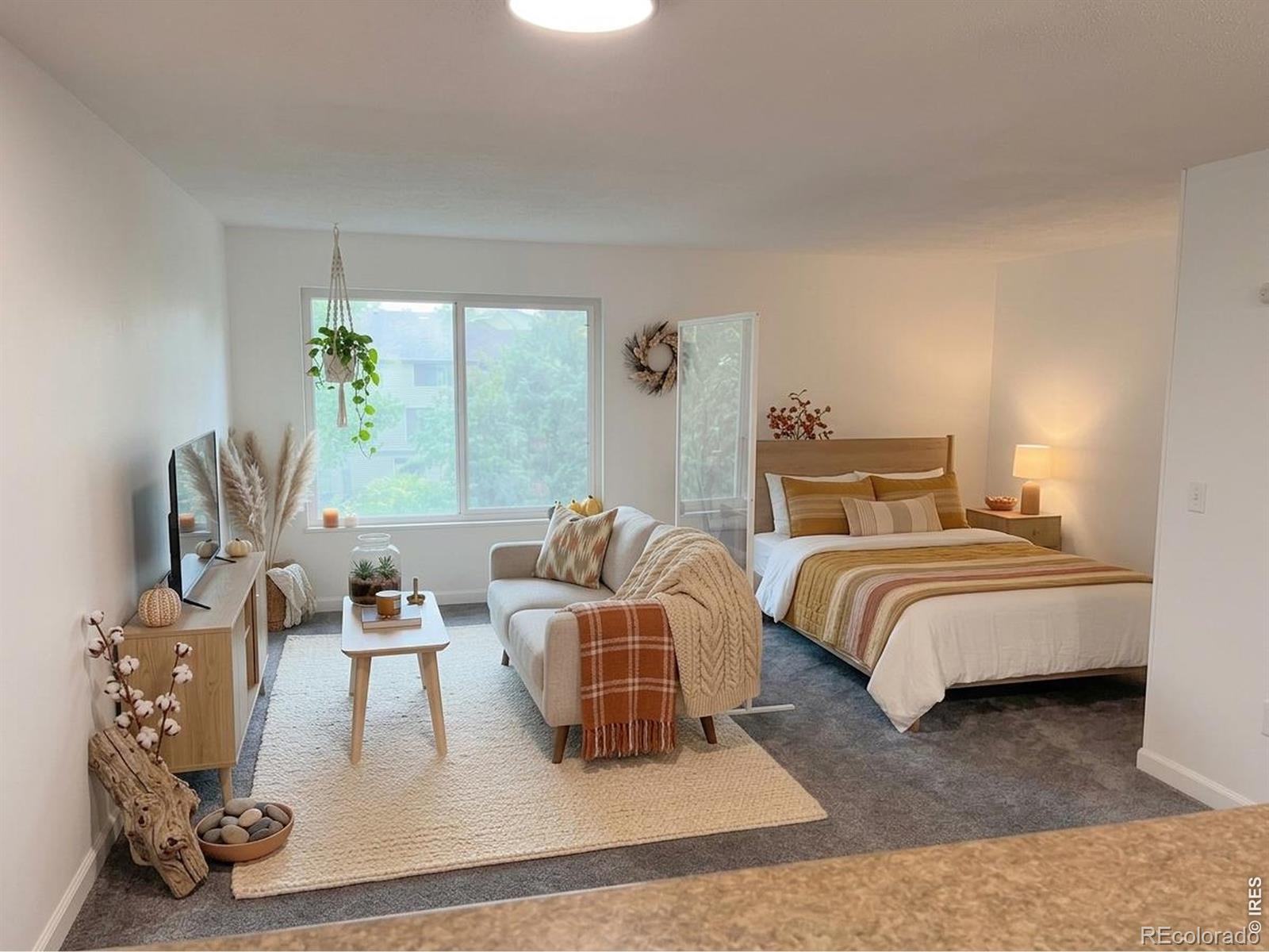 MLS Image #12 for 1705  heatheridge road,fort collins, Colorado
