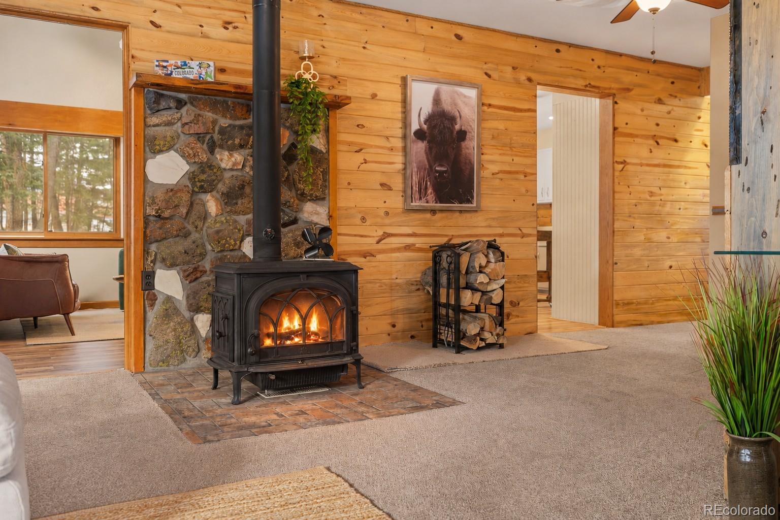 MLS Image #12 for 26491  vosler street,conifer, Colorado
