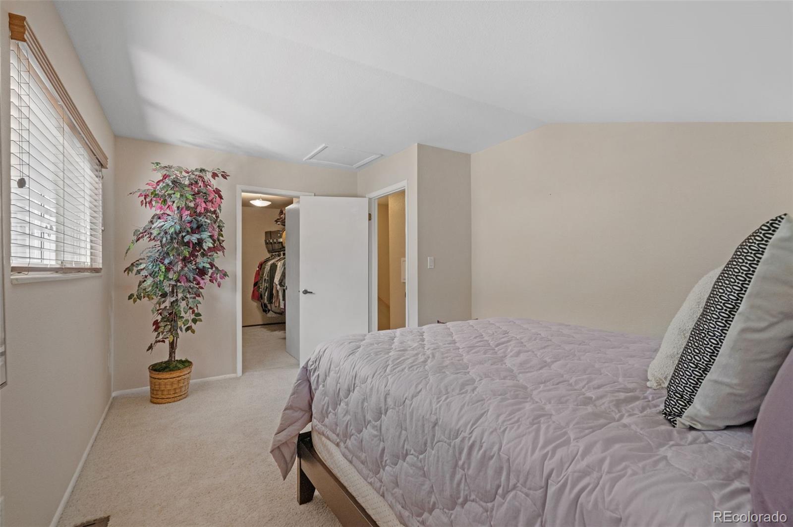 MLS Image #21 for 6840  surrey trail ,littleton, Colorado