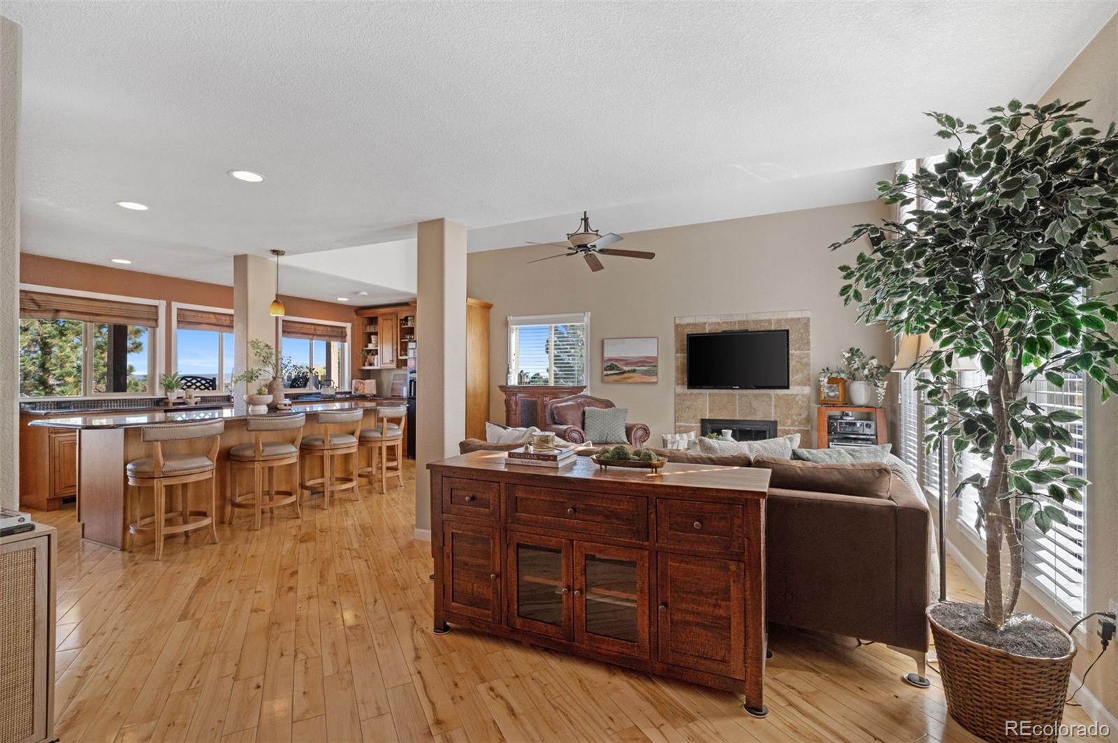 MLS Image #5 for 6840  surrey trail ,littleton, Colorado