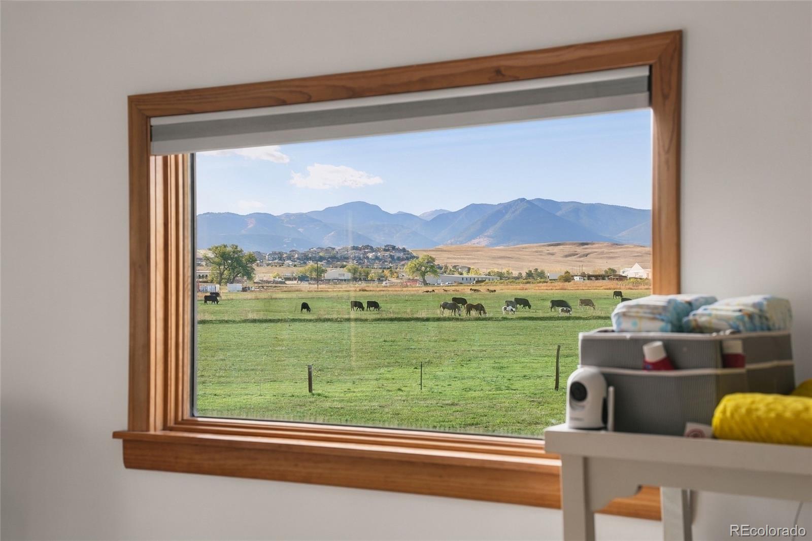 MLS Image #10 for 9445  alkire street,arvada, Colorado