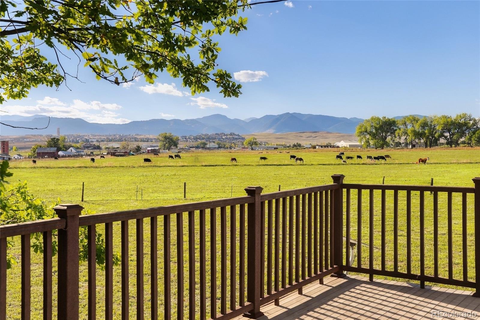 MLS Image #11 for 9445  alkire street,arvada, Colorado