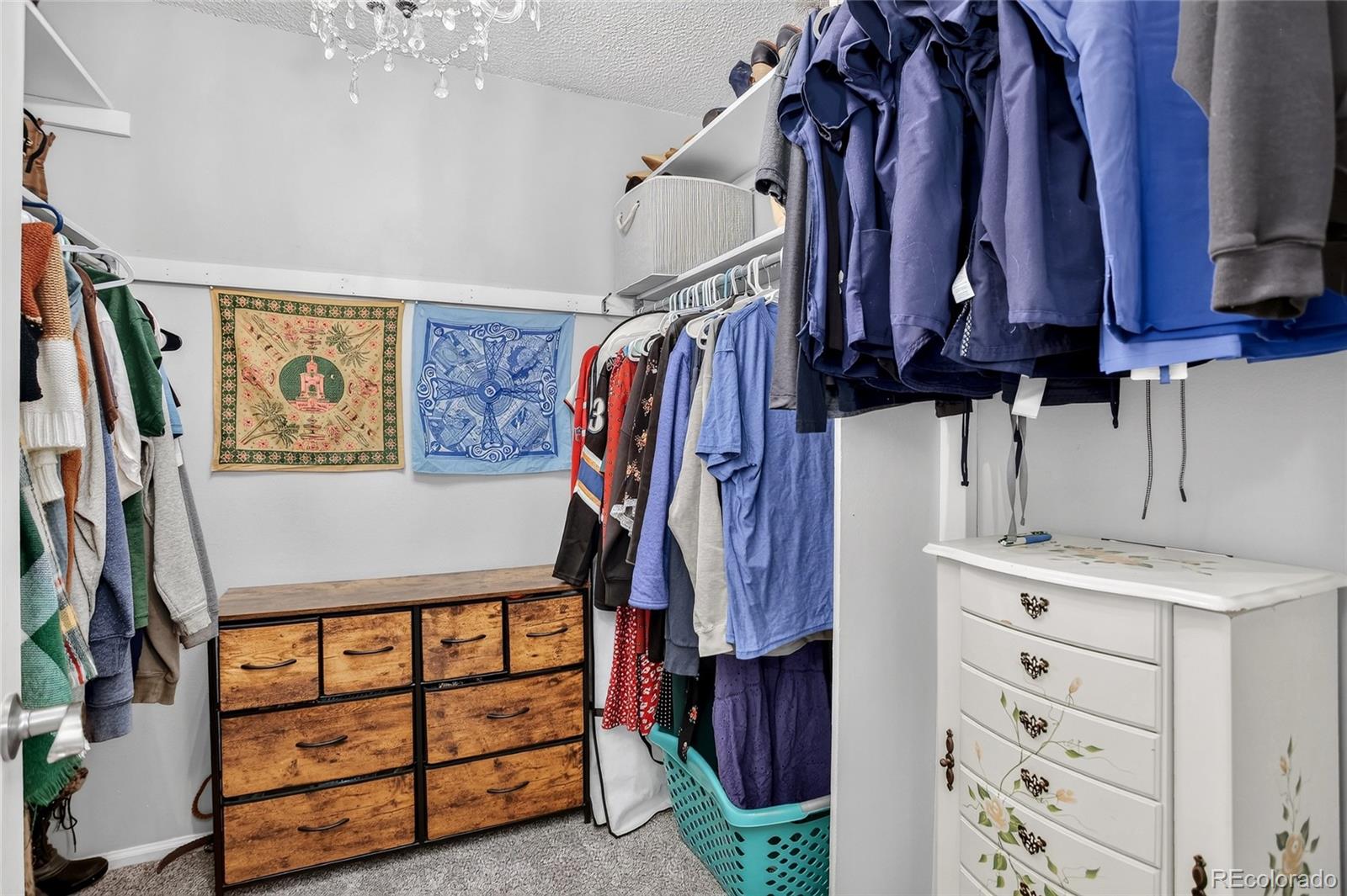 MLS Image #27 for 1011  pierce street,lakewood, Colorado