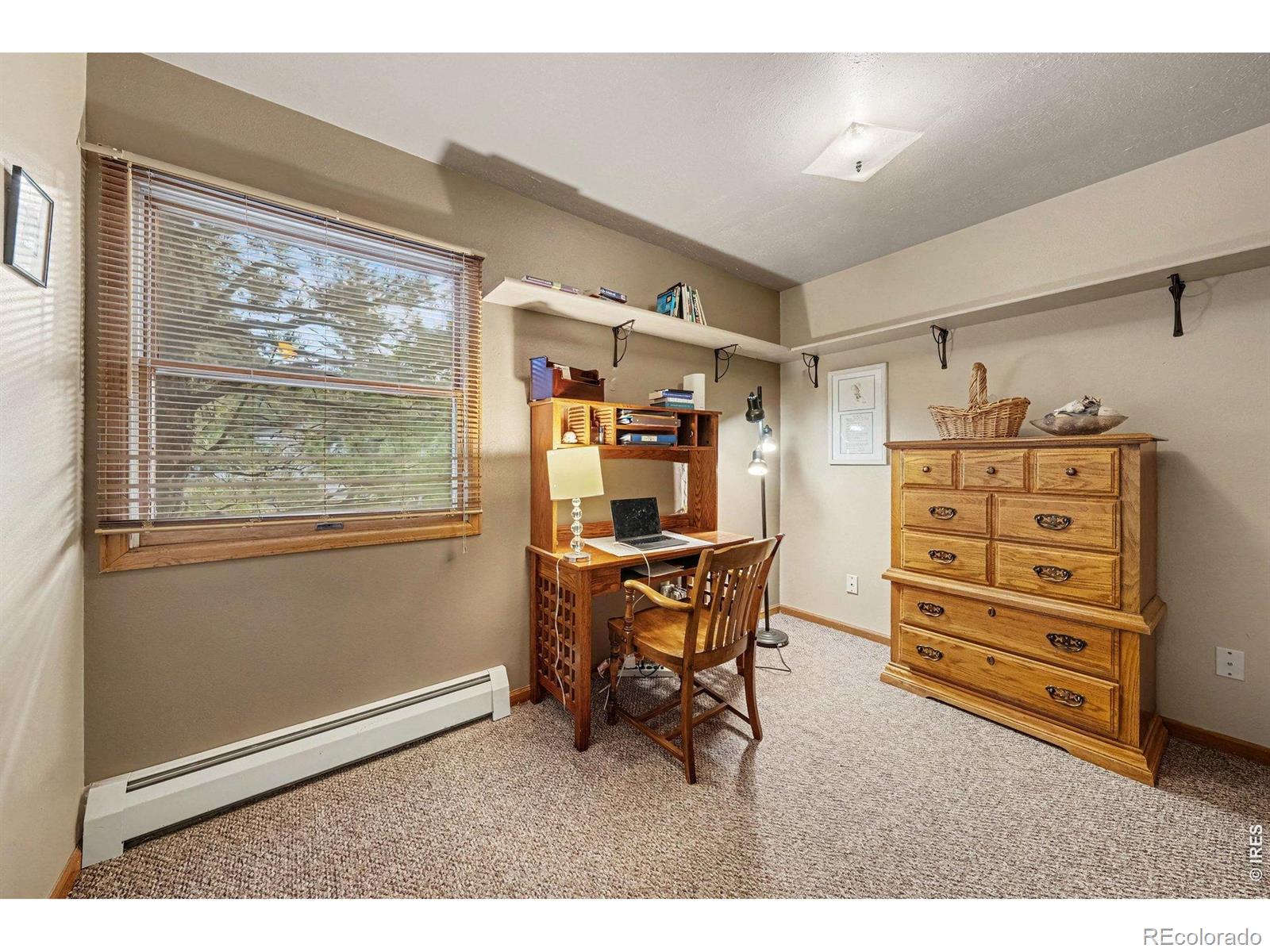 MLS Image #13 for 910  ramshorn drive,estes park, Colorado