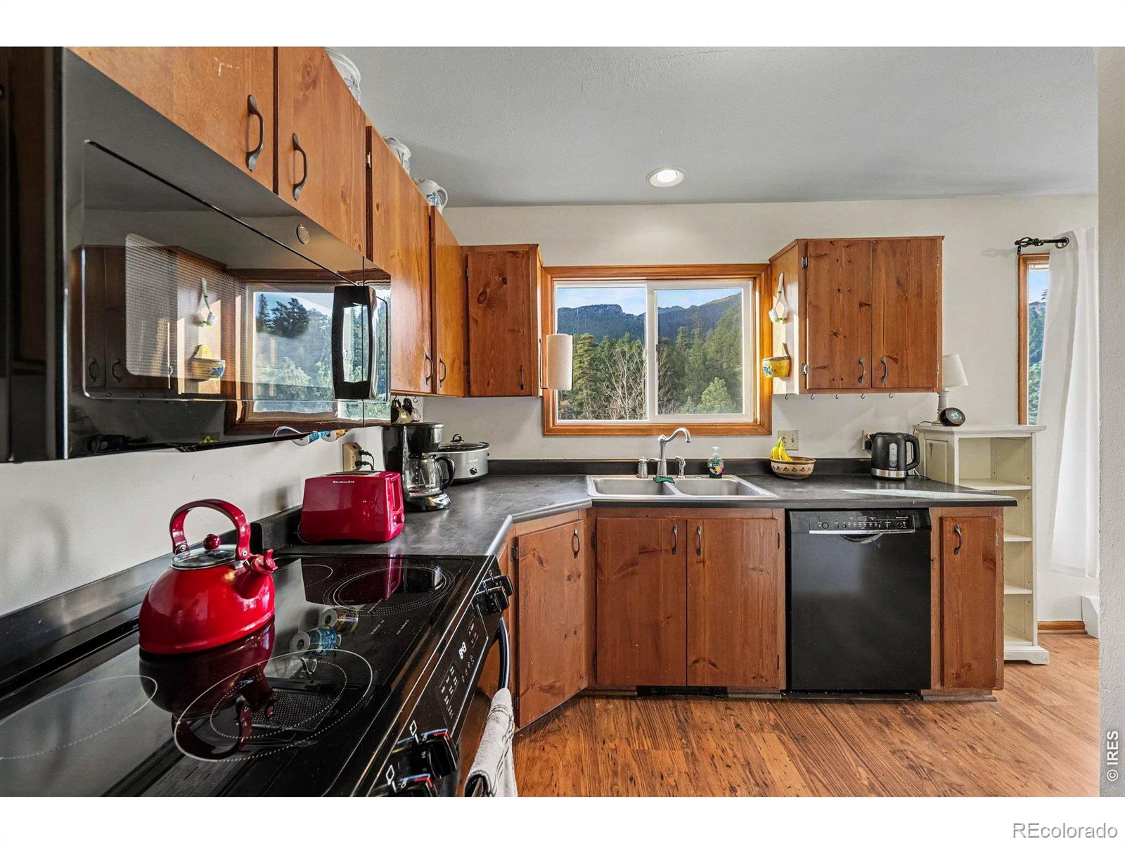 MLS Image #3 for 910  ramshorn drive,estes park, Colorado