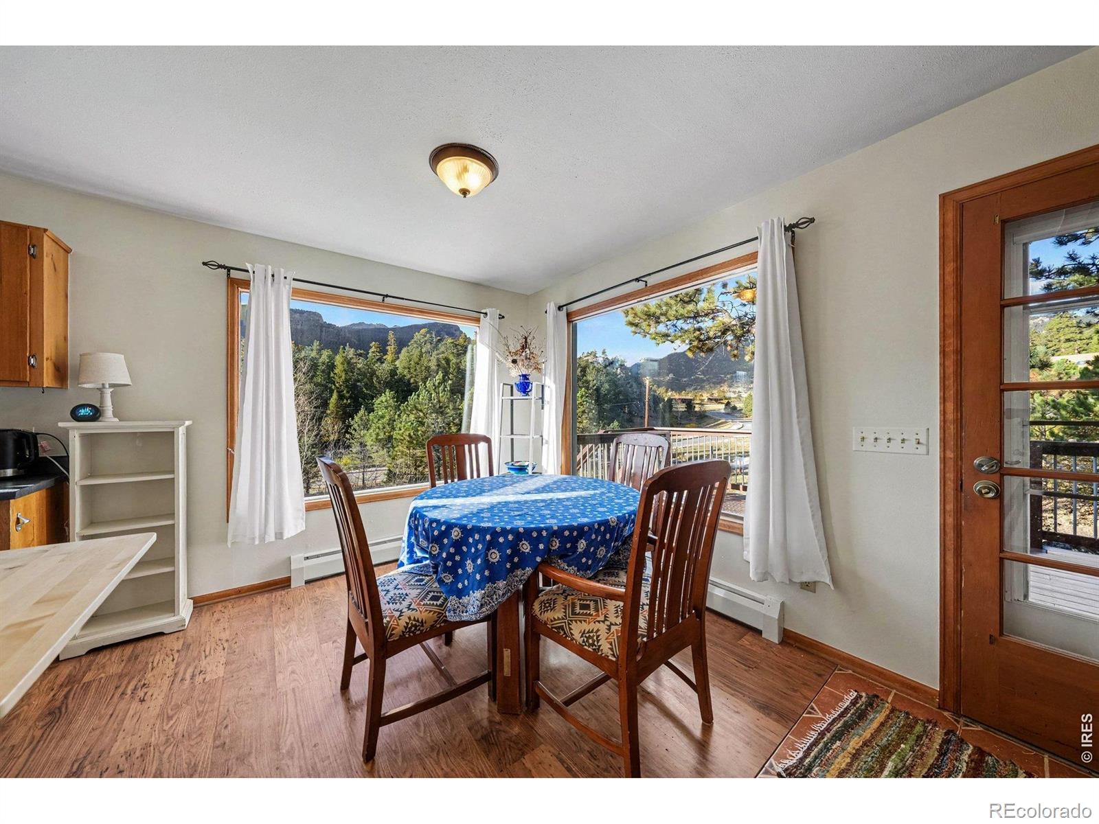 MLS Image #4 for 910  ramshorn drive,estes park, Colorado