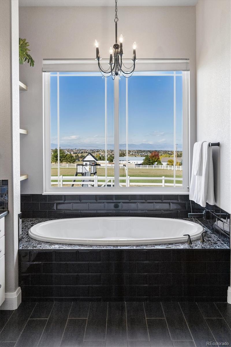 MLS Image #13 for 13161  endless view way,parker, Colorado