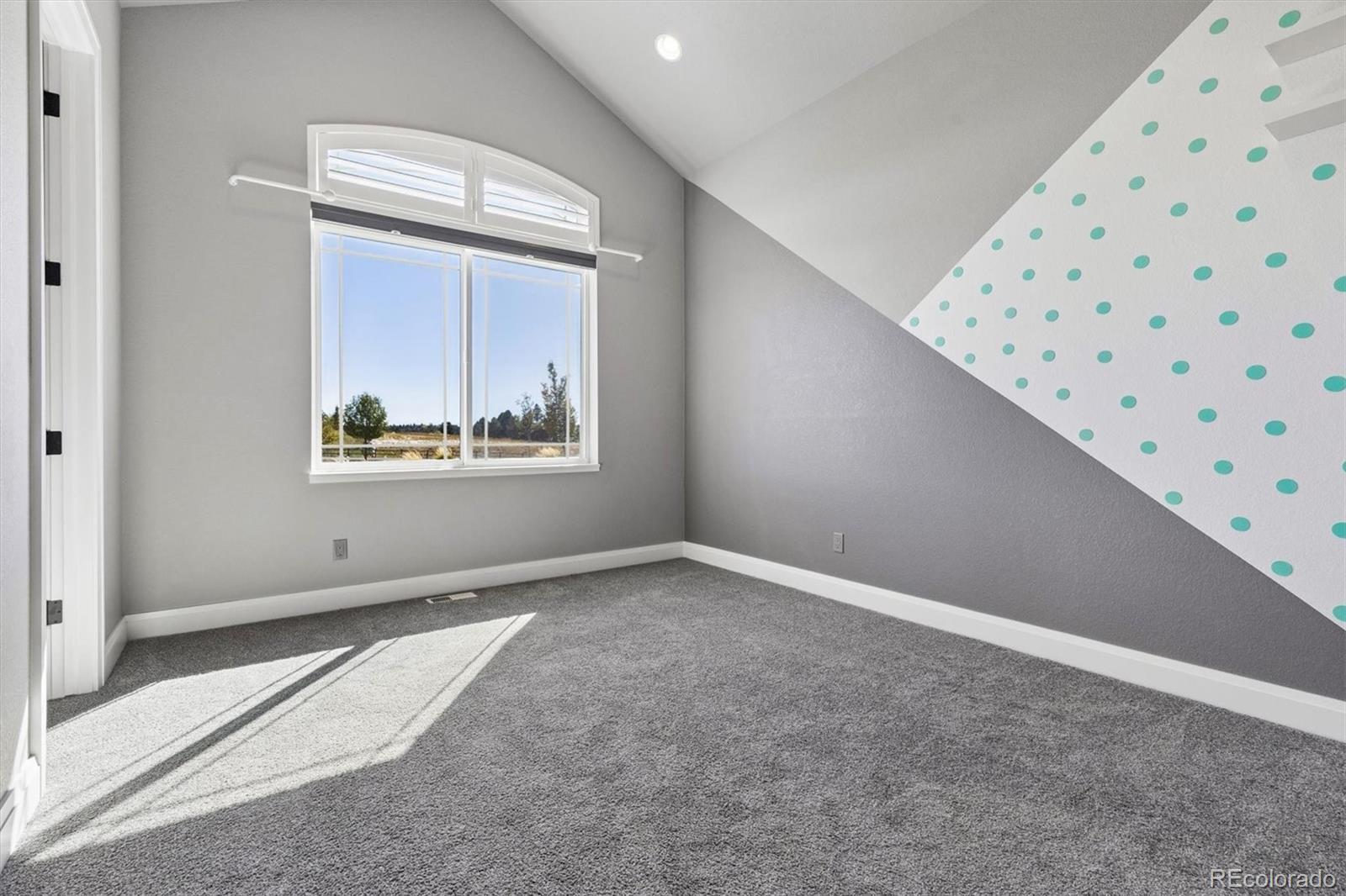 MLS Image #19 for 13161  endless view way,parker, Colorado