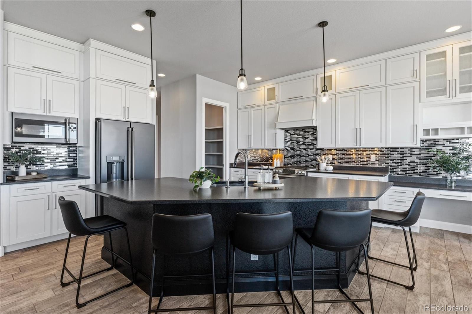 MLS Image #8 for 13161  endless view way,parker, Colorado