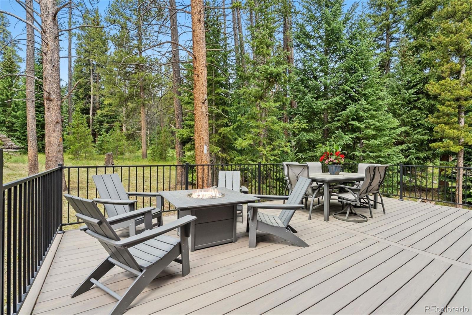MLS Image #44 for 239  sherwood lane,blue river, Colorado