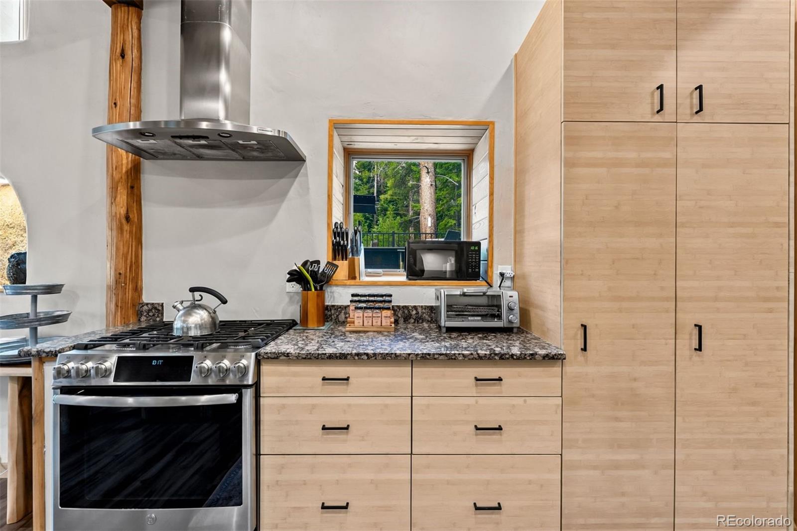 MLS Image #5 for 239  sherwood lane,blue river, Colorado