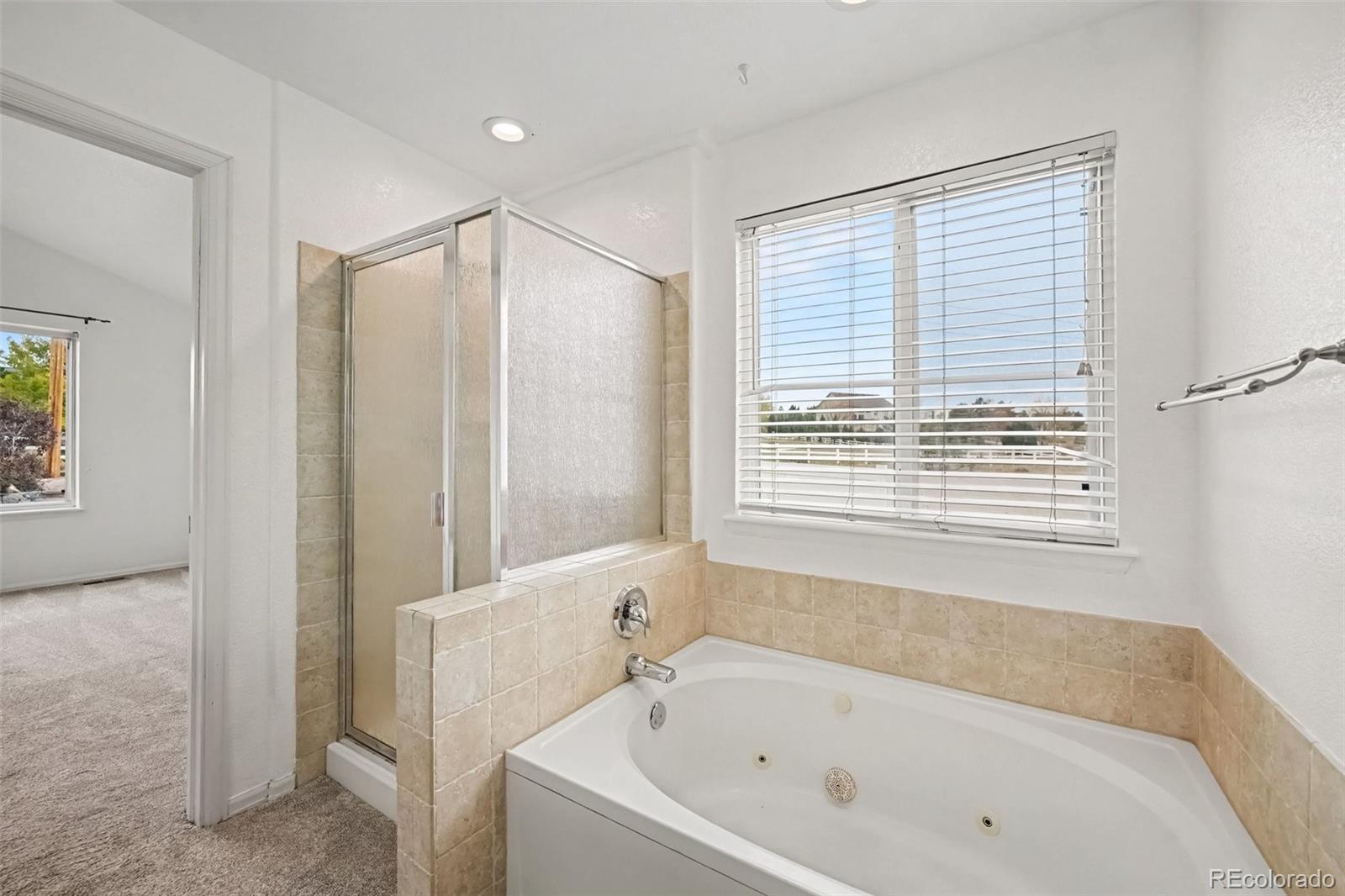 MLS Image #18 for 14620  yosemite street,brighton, Colorado