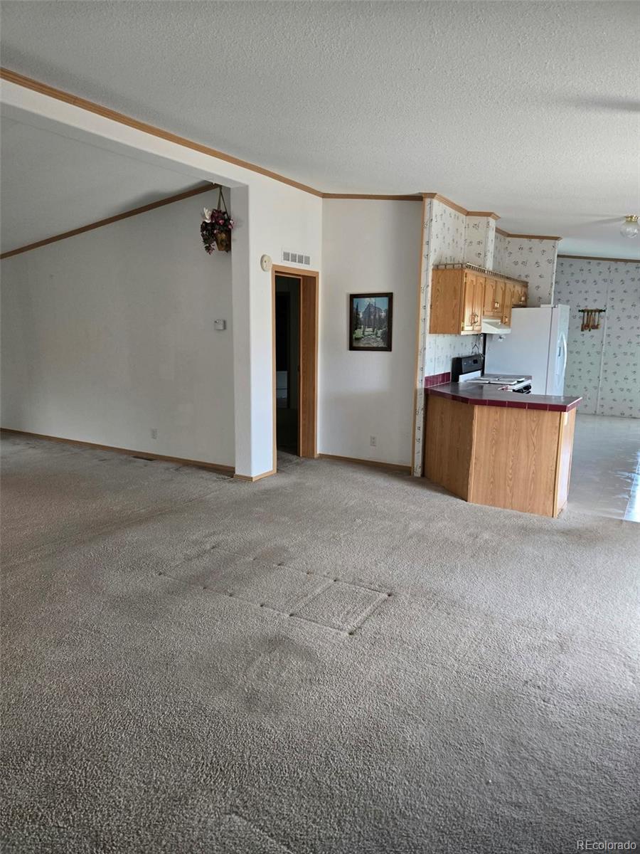 MLS Image #5 for 213  indian hills ,florence, Colorado