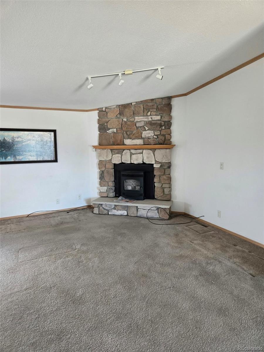 MLS Image #6 for 213  indian hills ,florence, Colorado