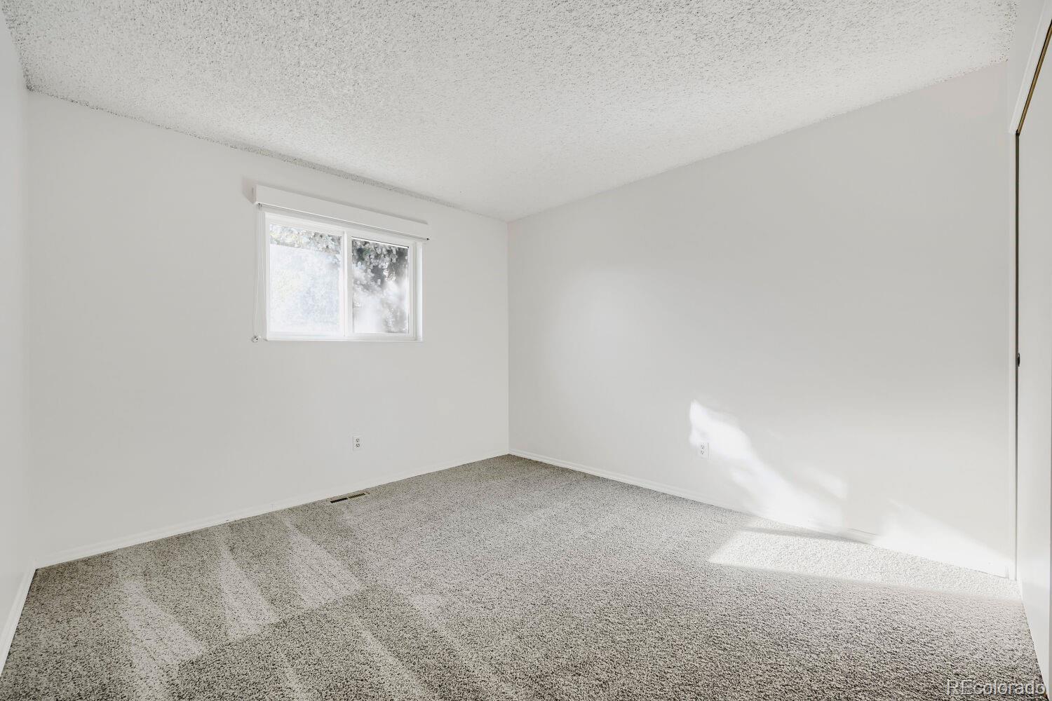 MLS Image #18 for 741  elbert street,denver, Colorado