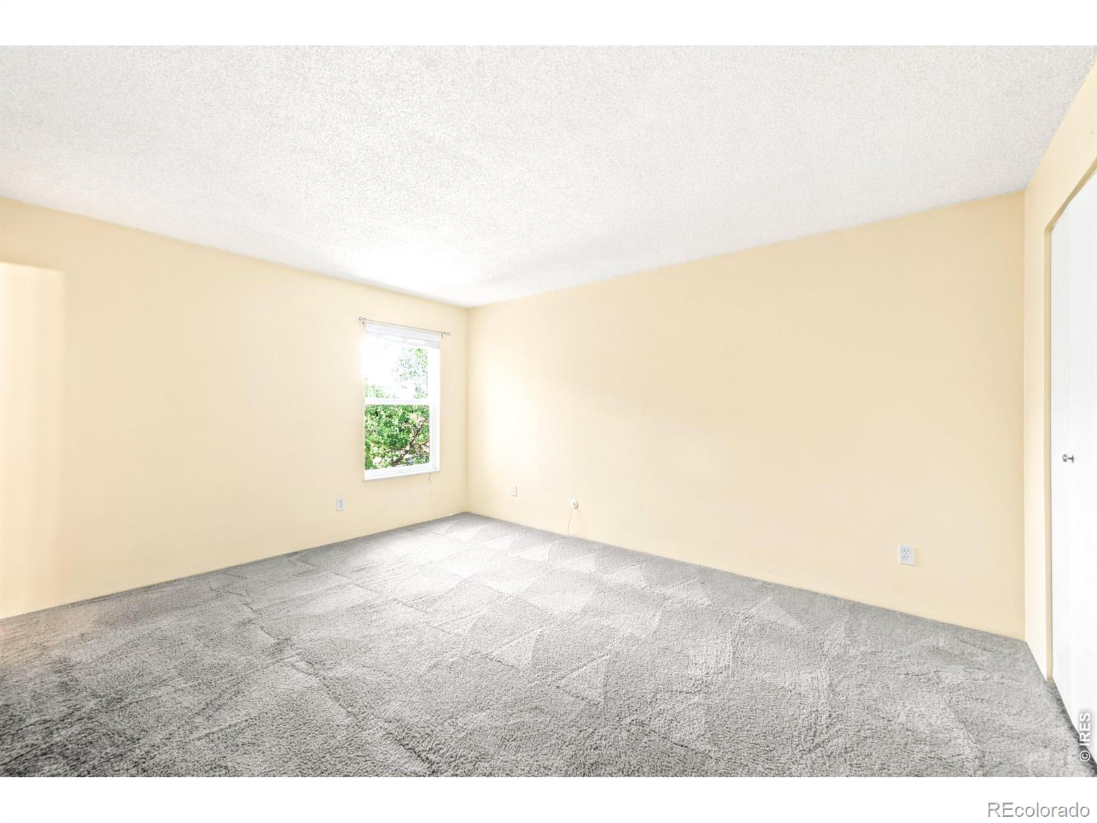 MLS Image #13 for 380  zang street,lakewood, Colorado