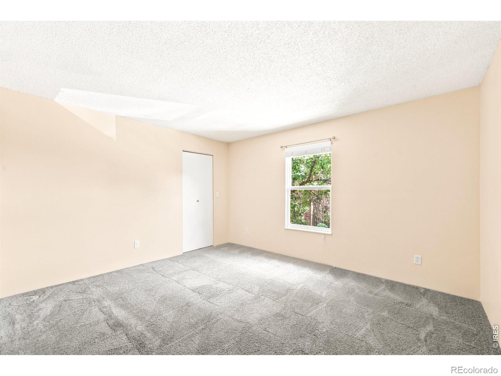 MLS Image #8 for 380  zang street,lakewood, Colorado