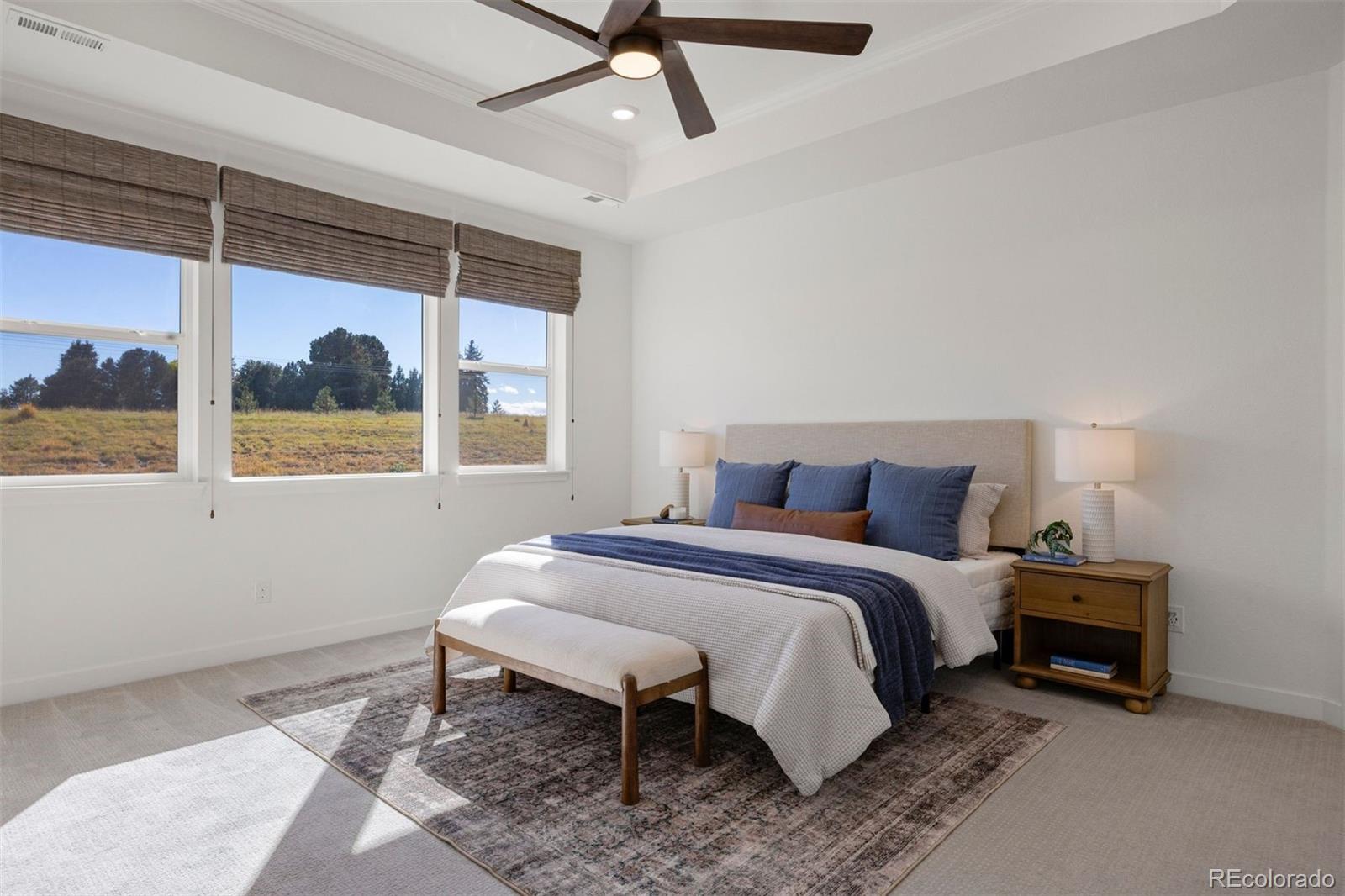 MLS Image #14 for 22580 e rockinghorse parkway,aurora, Colorado
