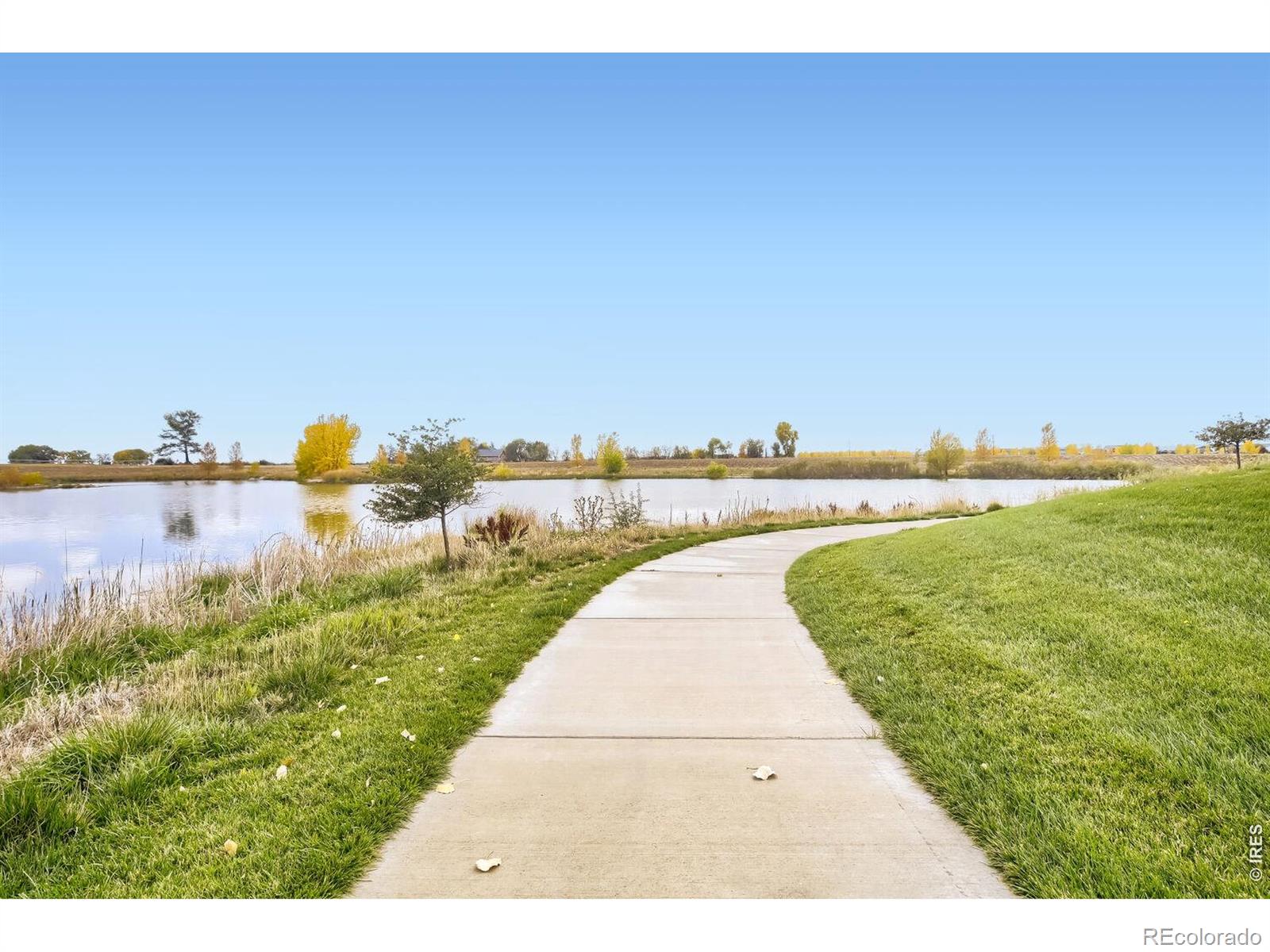 MLS Image #19 for 5435  long drive,timnath, Colorado