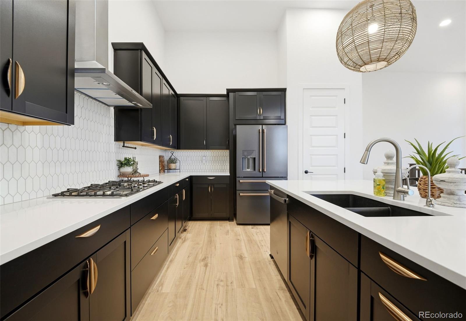 MLS Image #10 for 3268  carabiner street,castle rock, Colorado
