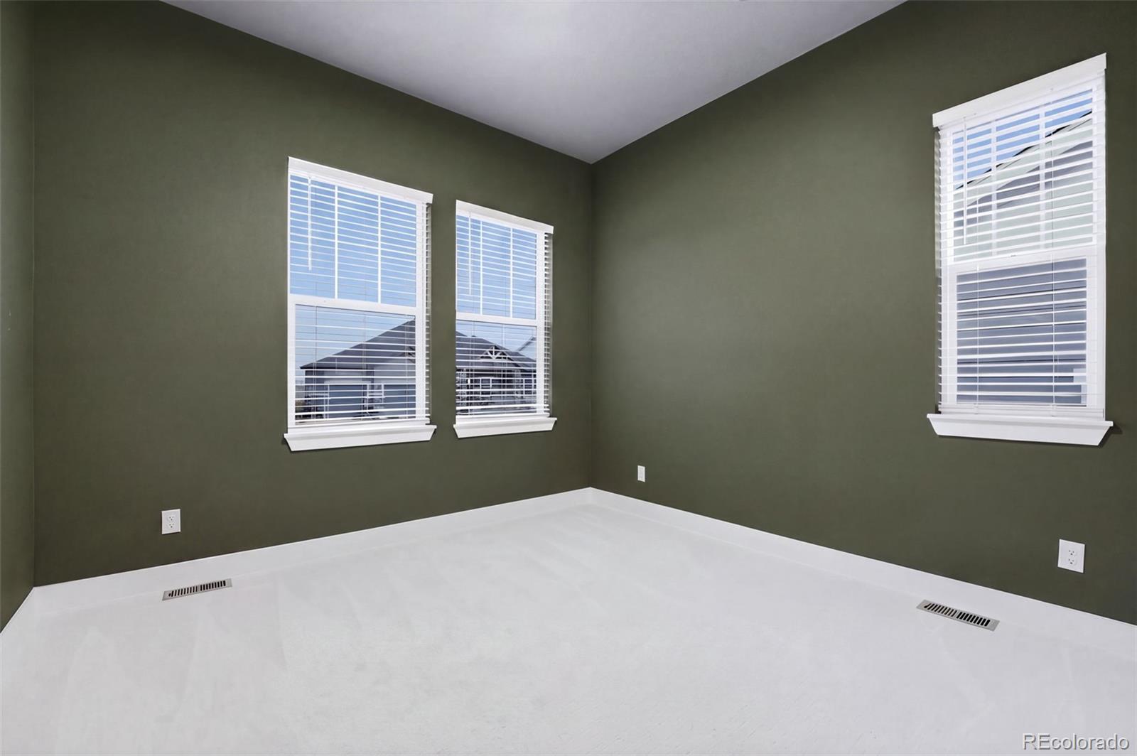 MLS Image #12 for 3268  carabiner street,castle rock, Colorado