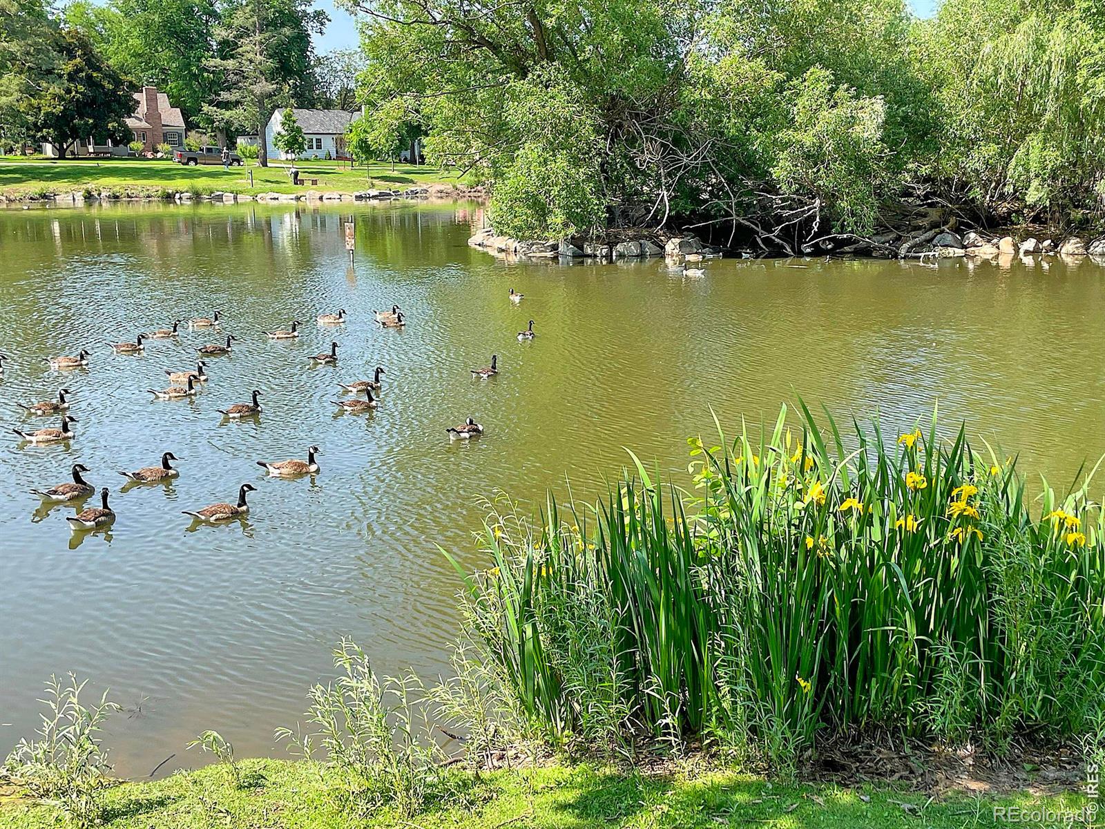 MLS Image #45 for 1326  8th street,greeley, Colorado