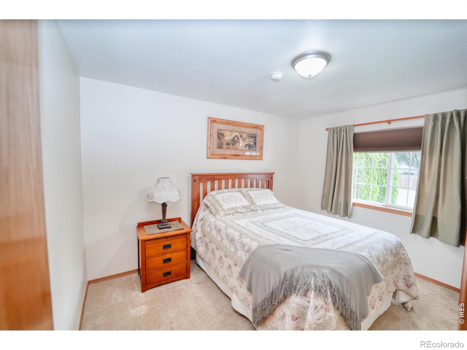 MLS Image #12 for 405  trailwood drive,windsor, Colorado