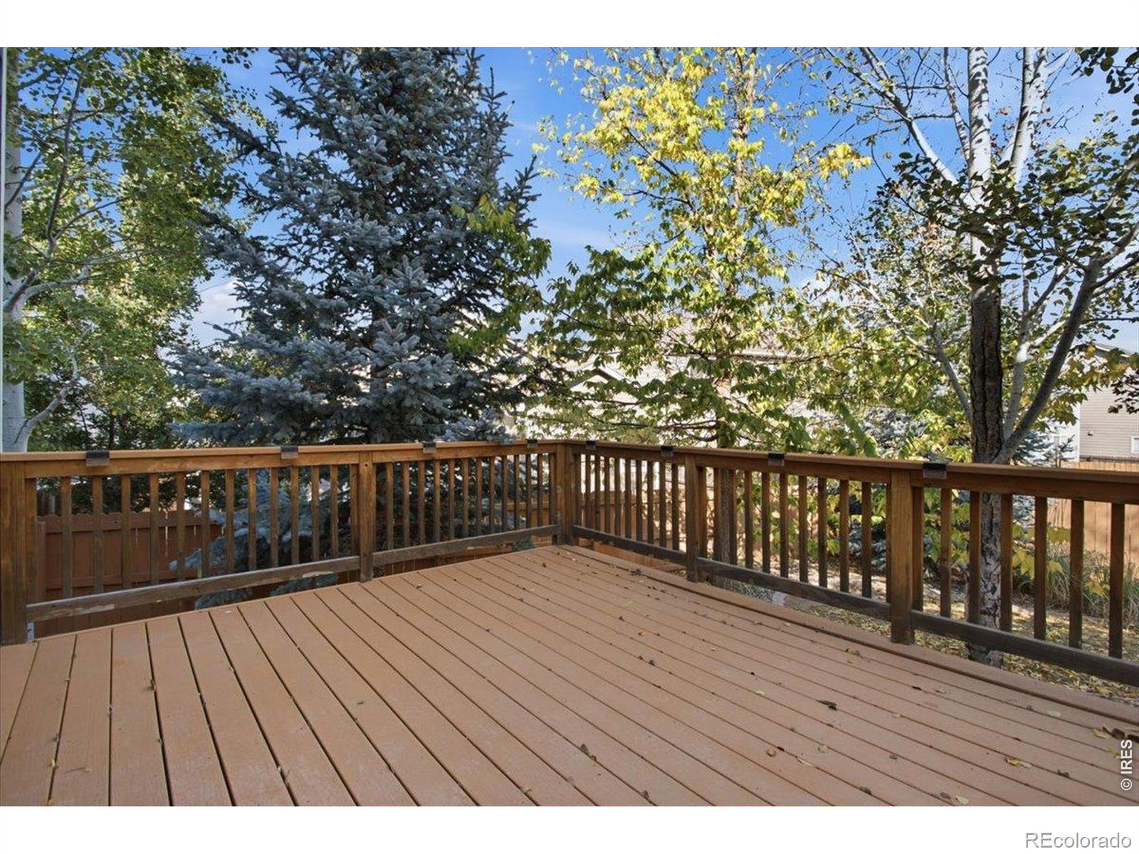 MLS Image #43 for 410  san juan drive,fort collins, Colorado